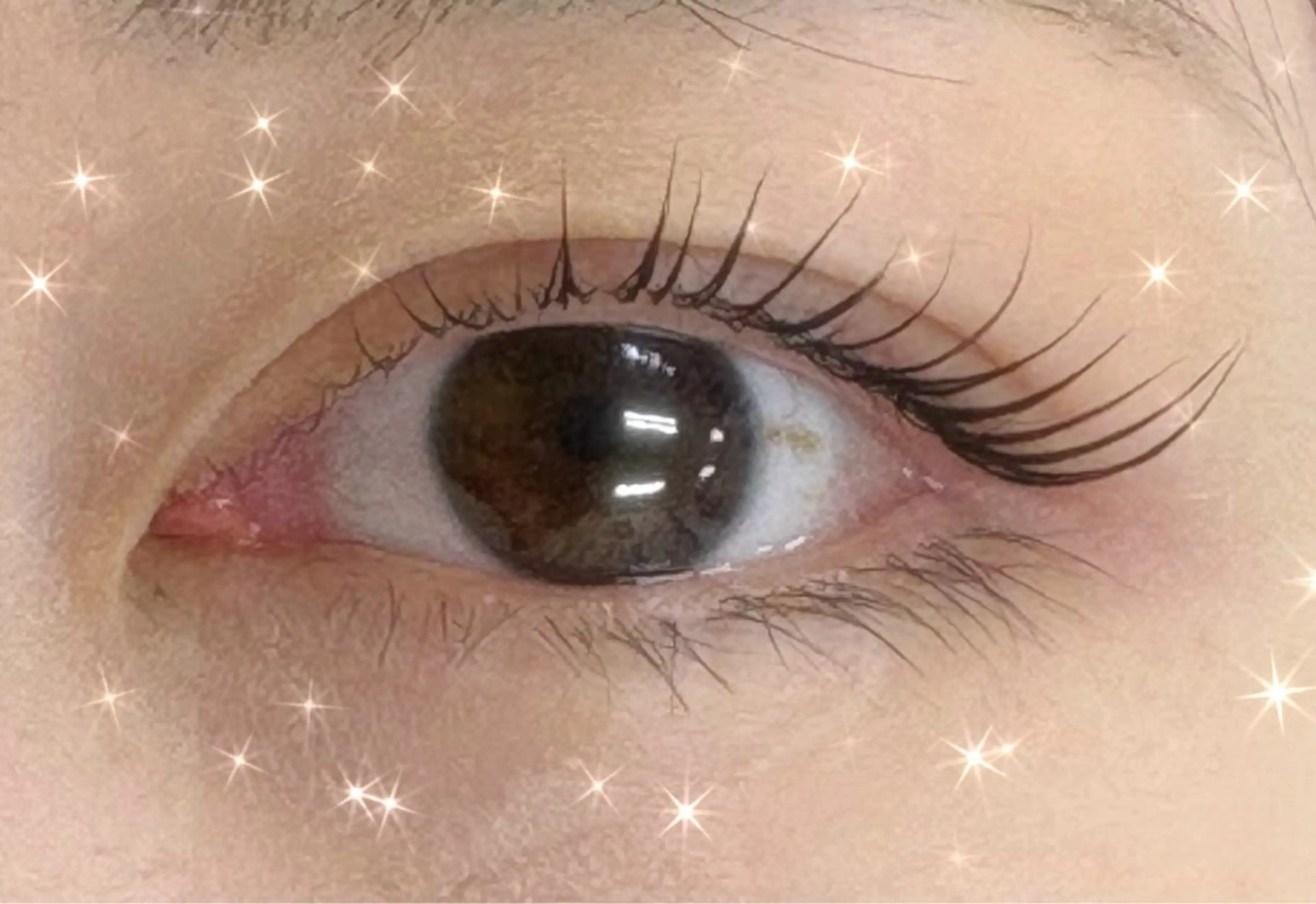 マツエク・マツパ eyela suzuka 🪽のマツエク・マツパデザイン