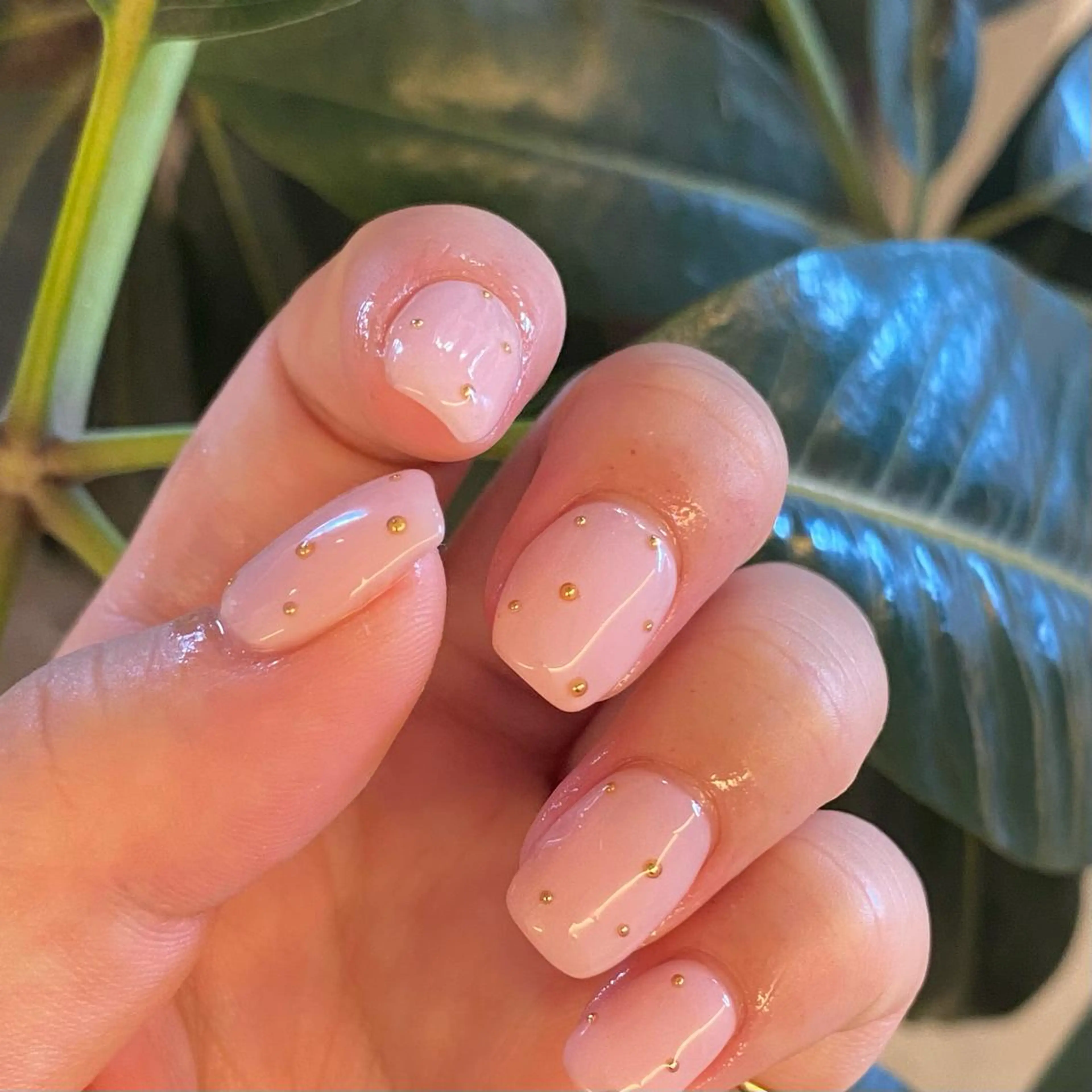 ネイル シンプルネイル daisy lash天王寺　池阪の眉毛・アイブロウイメージ