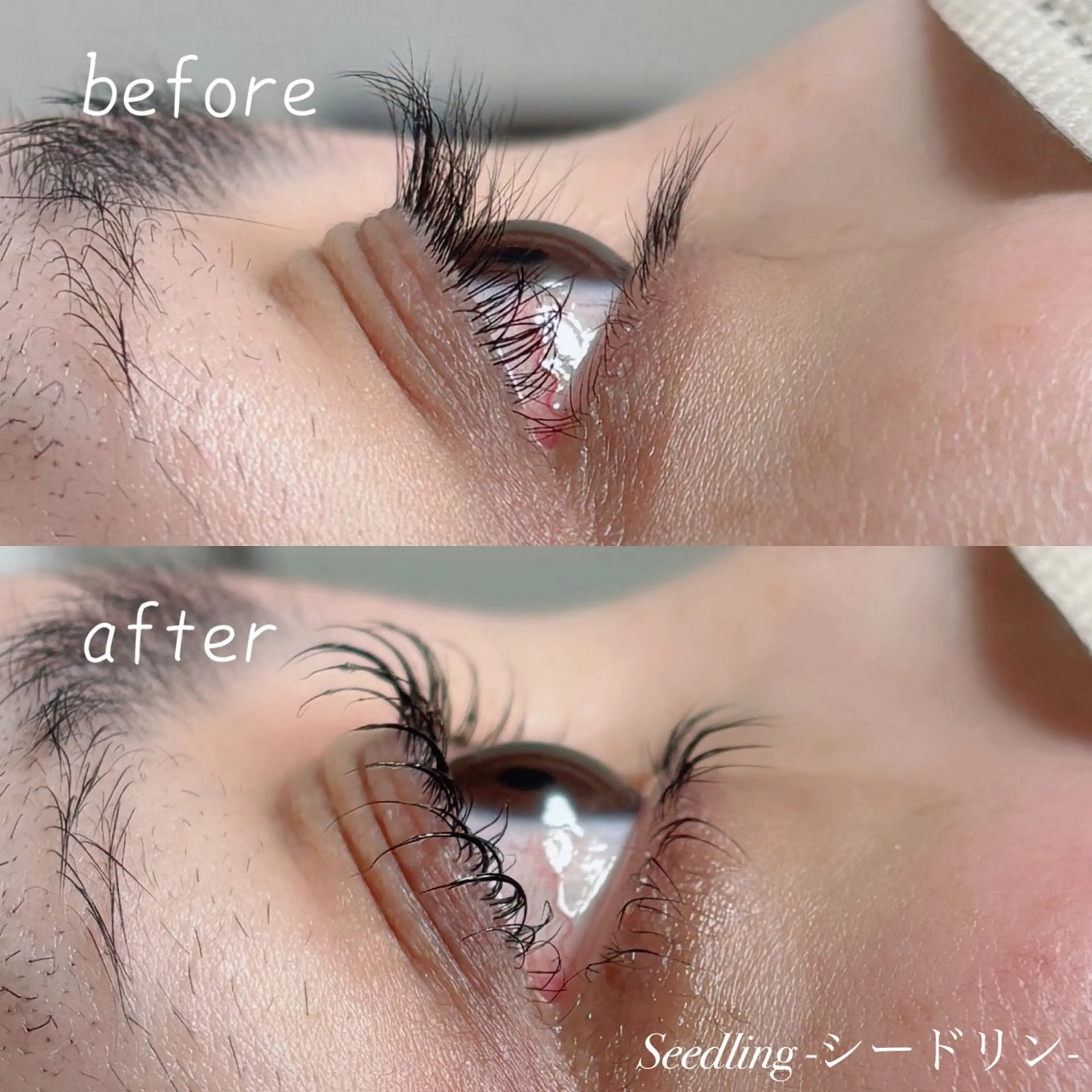 マツエク・マツパ まつげパーマ 下まつげエクステ シードリン 府内店 小野梨央のマツエク・マツパデザイン