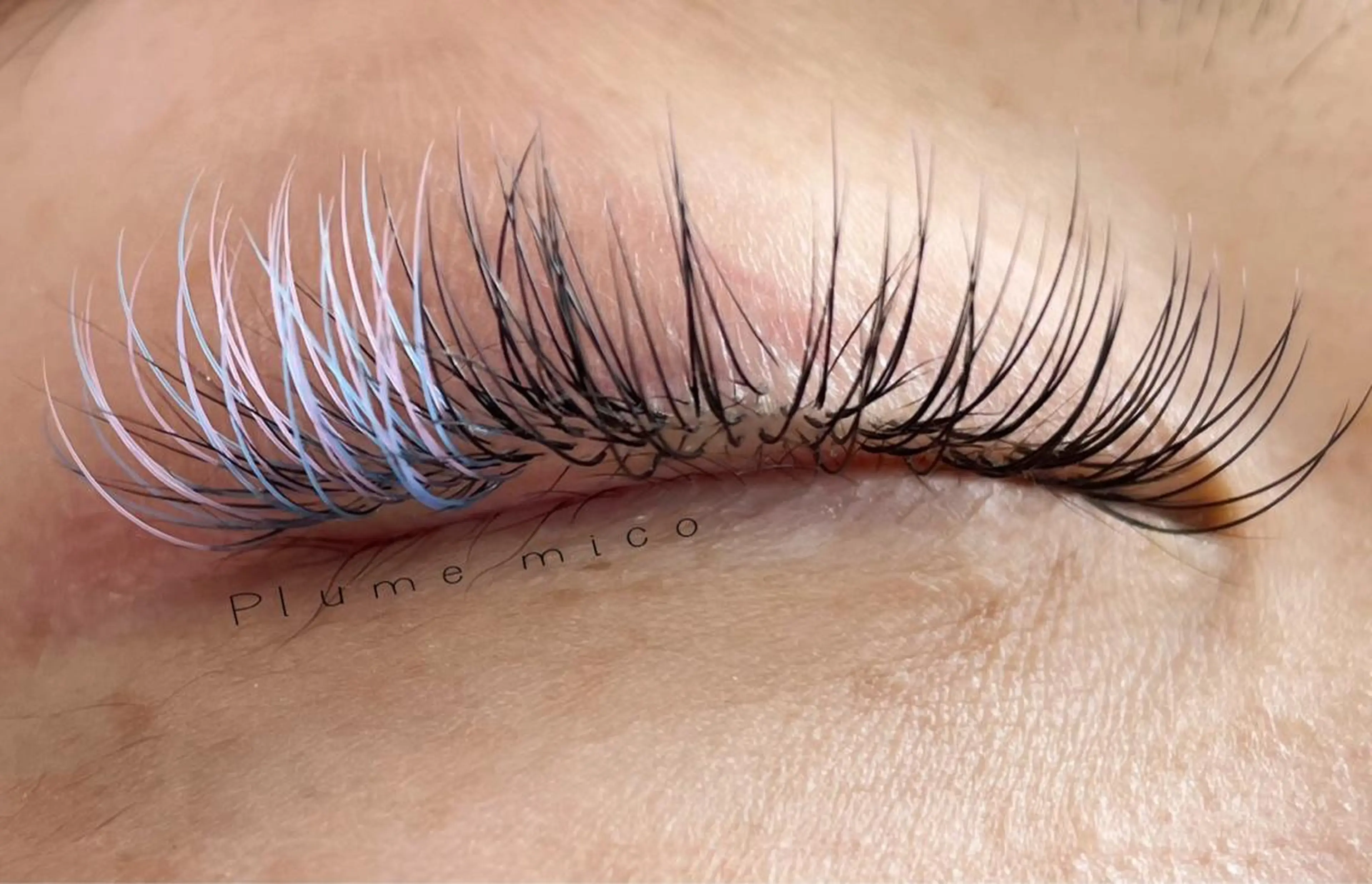 マツエク・マツパ マツエク Plume micoのマツエク・マツパデザイン