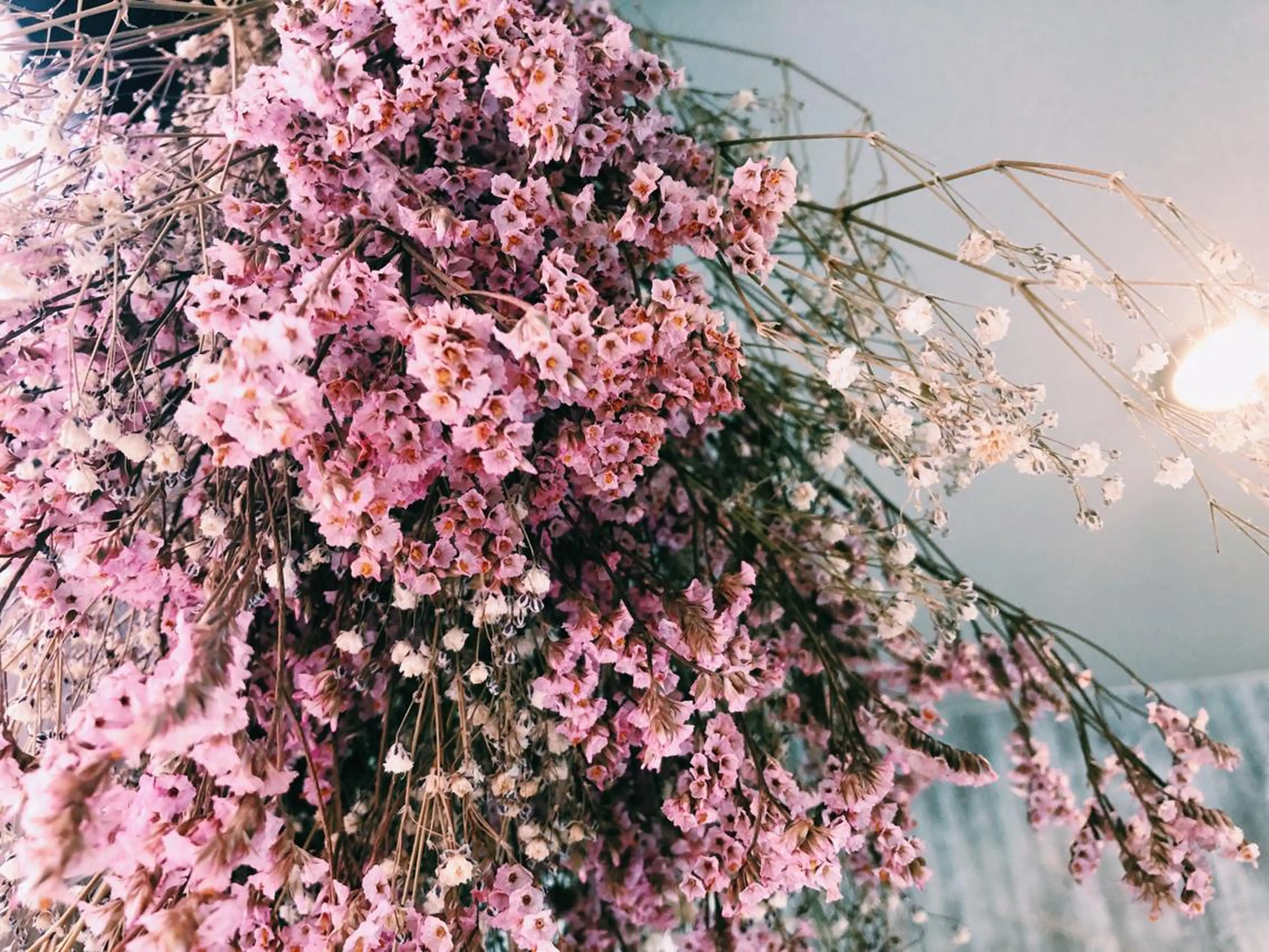 マツエク・マツパ 中川 朋美のマツエク・マツパデザイン