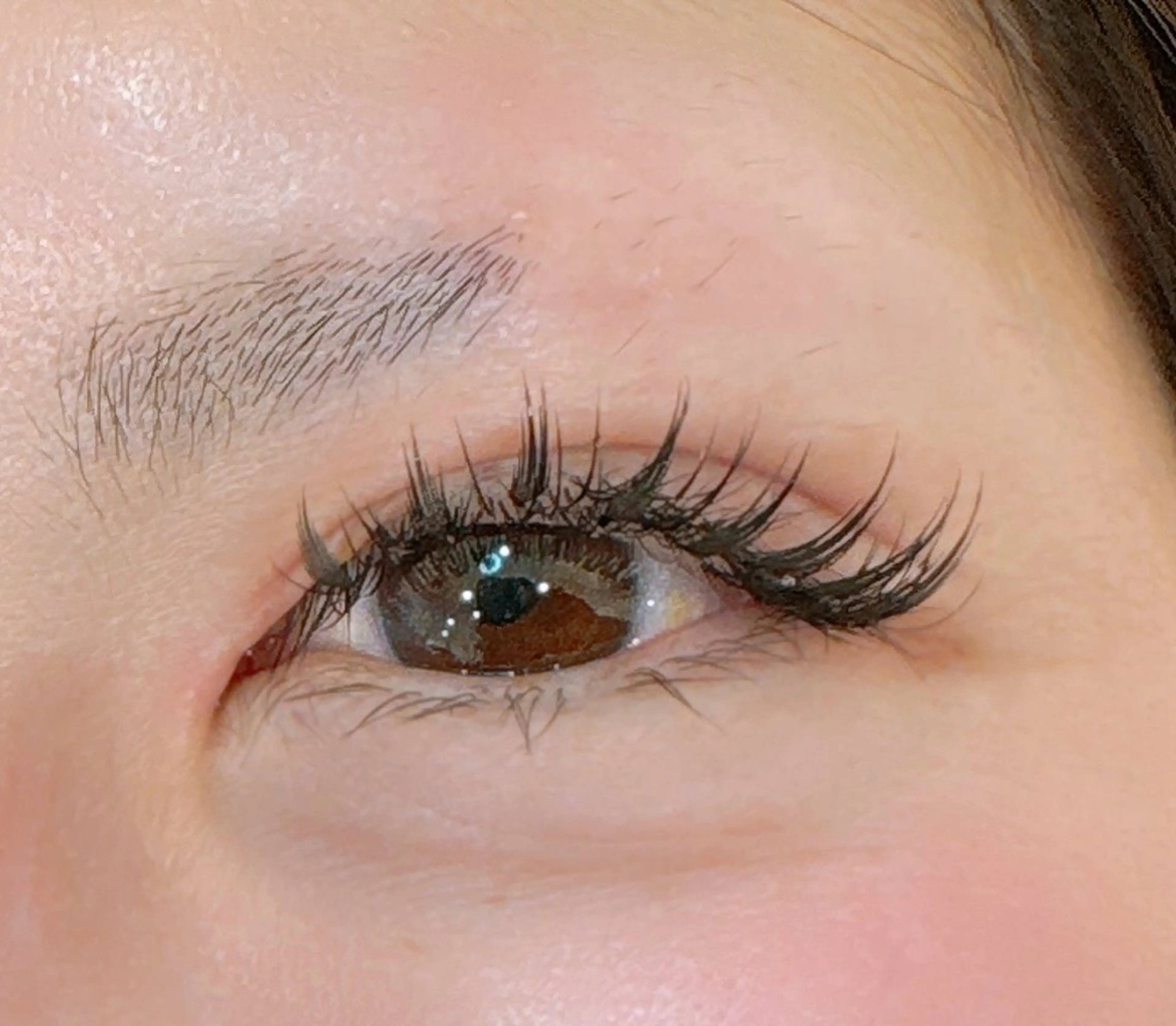 韓国発🇰🇷フェザーラッシュ100本の写真