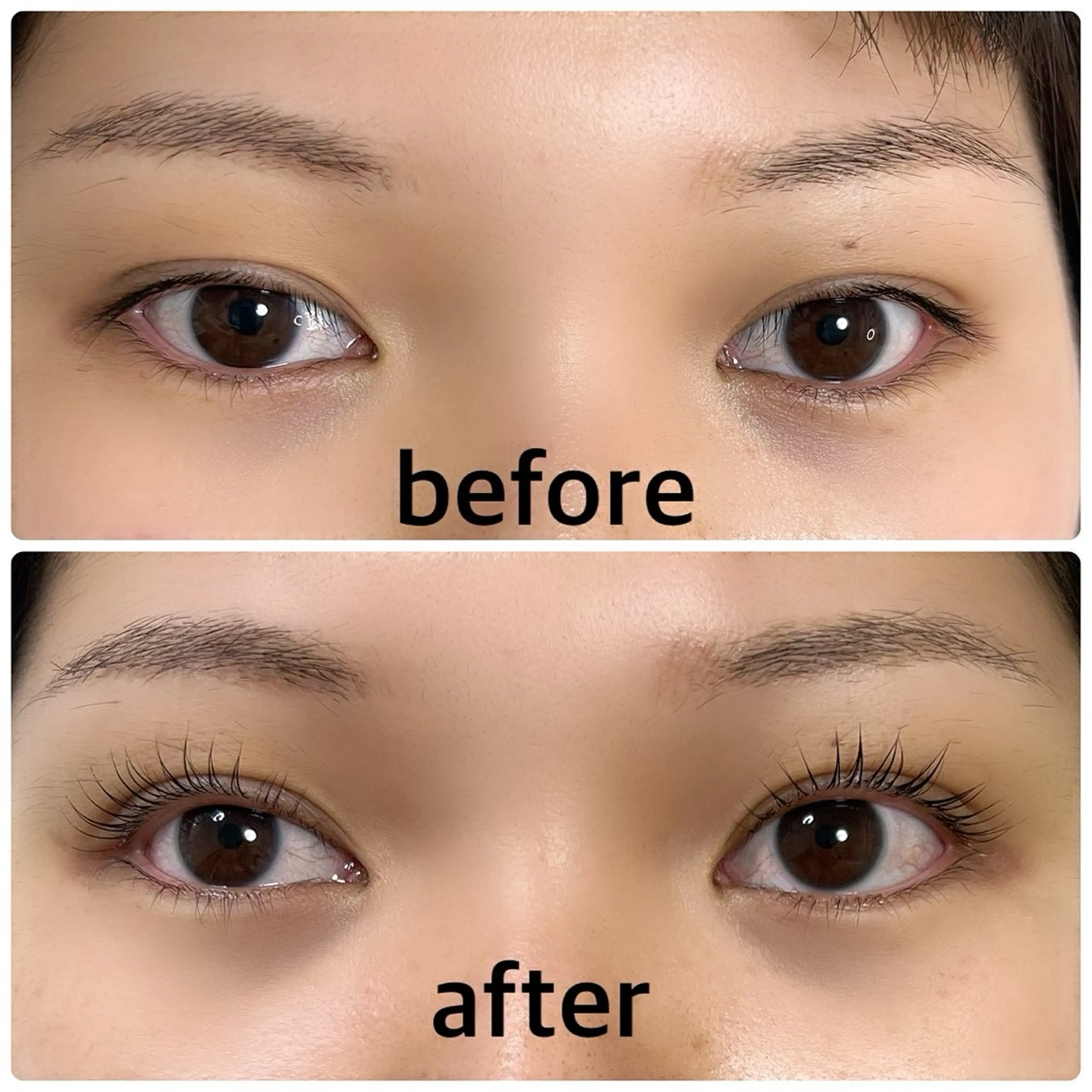 【新人応援キャンペーン】くるんと可愛いお目元に💕ラッシュリフト・パリジェンヌ✨今月限定8800→4400の写真