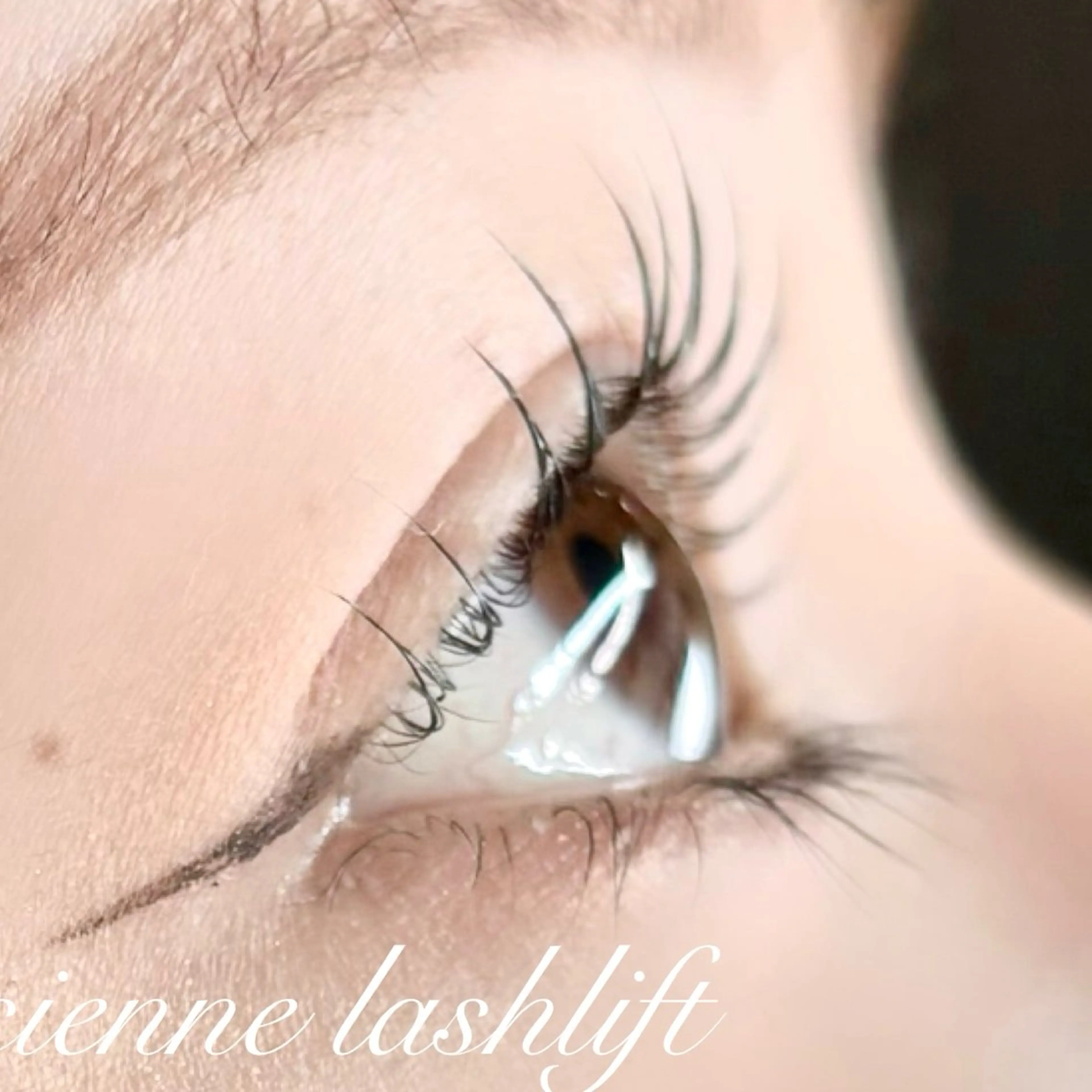 韓国風⭐️韓国束間まつ毛、パリジェンヌ💞（トリートメント付き）の写真