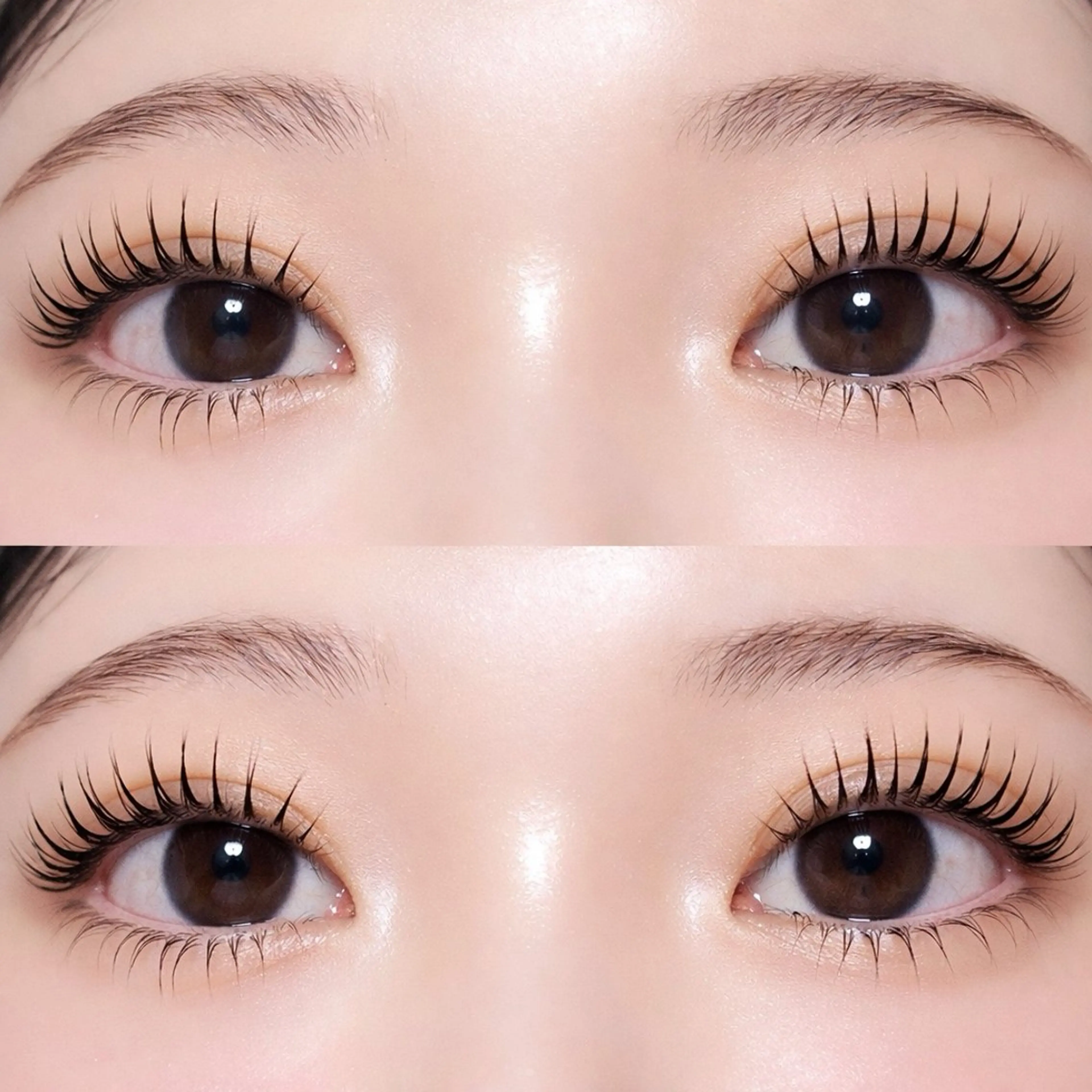 マツエク・マツパ マツパ 👑𝐊𝐢𝐧𝐠 心斎橋MIREI🌺のマツエク・マツパデザイン