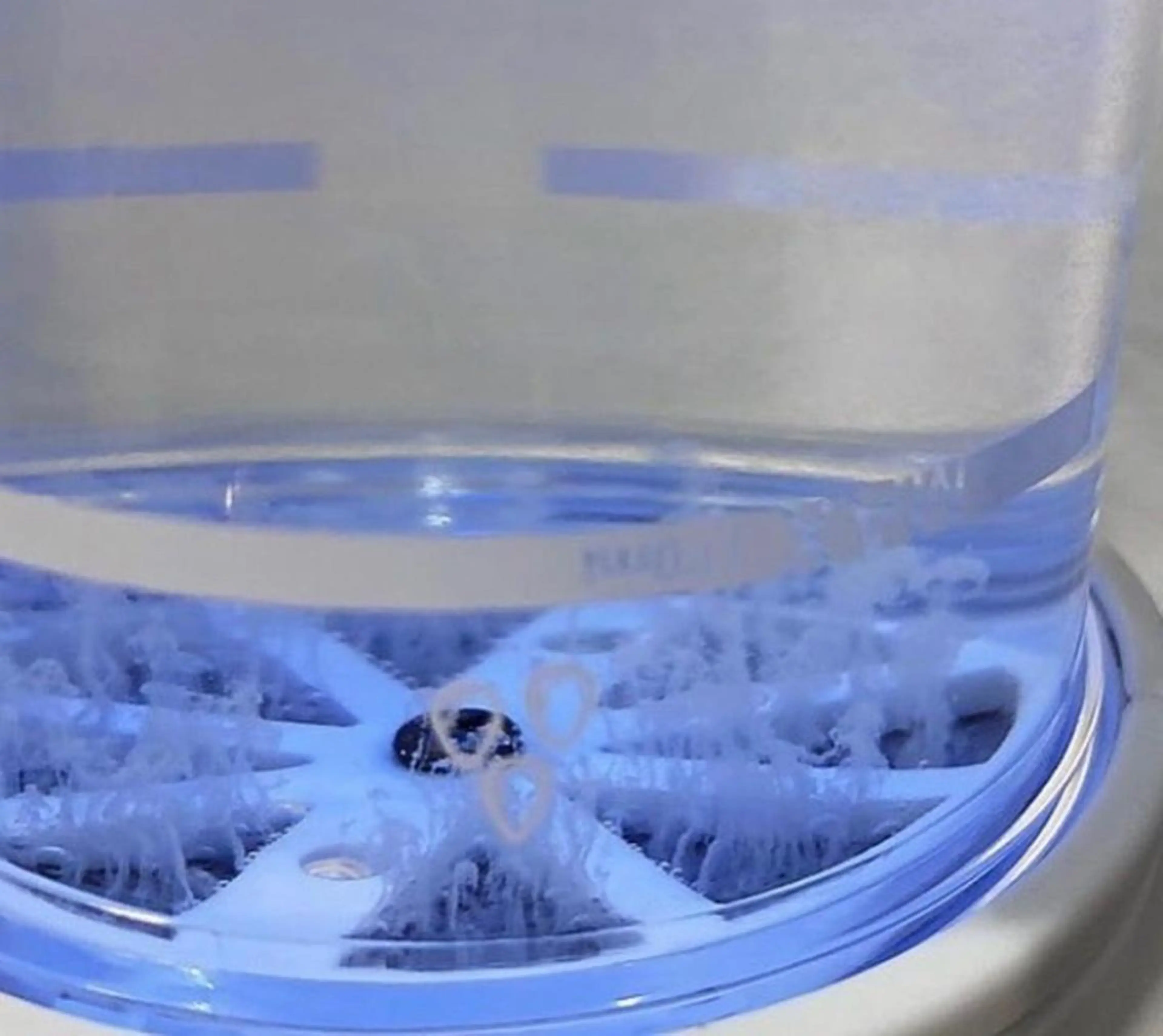 Brightブライト (エステ.リラク)のエステ・リラクイメージ