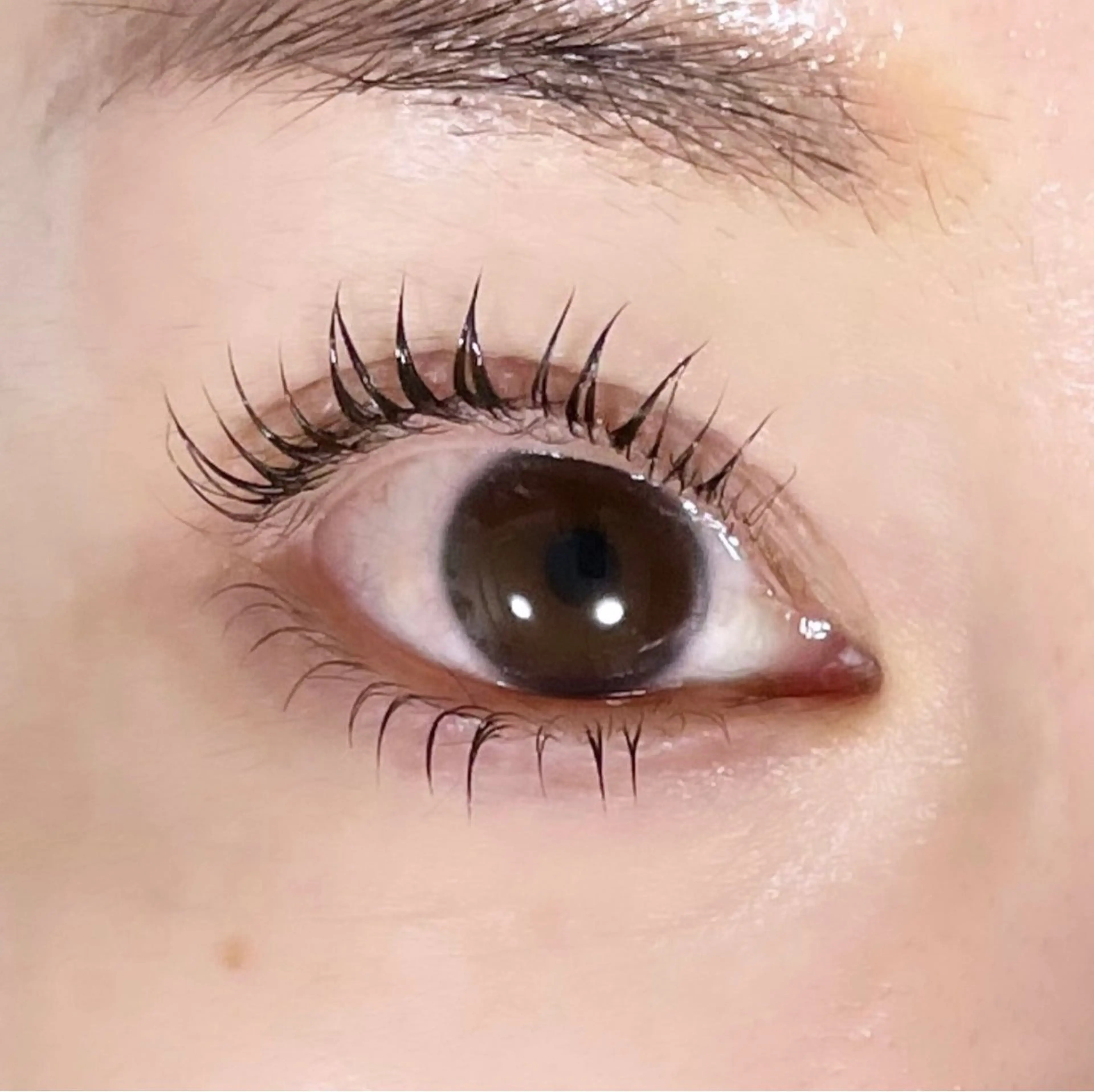 マツエク・マツパ パリジェンヌラッシュリフト マリーテレジア🤍 Suzukiのマツエク・マツパデザイン