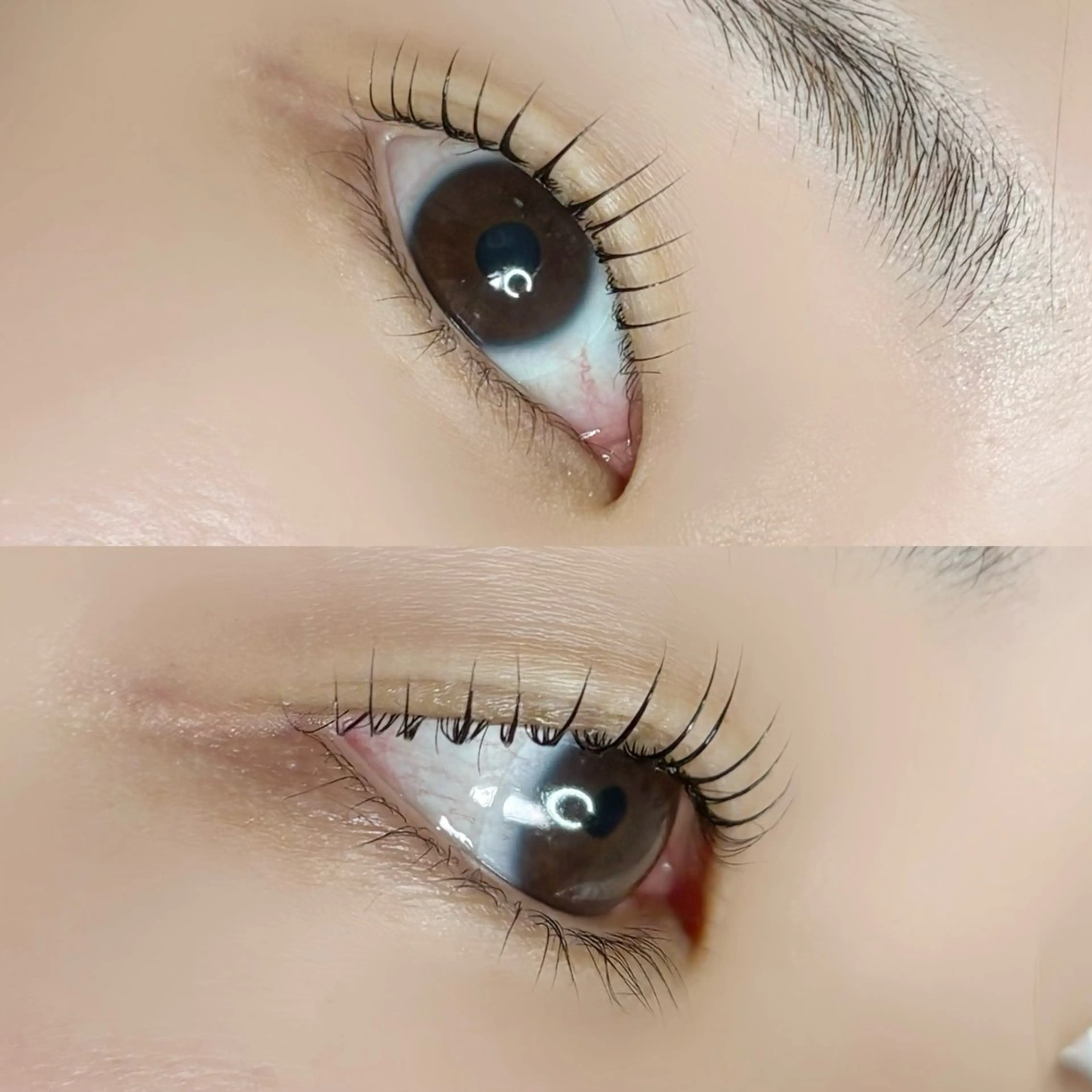 👸🏼✨【顔タイプ診断＆パリジェンヌ/まつ毛パーマ】👸🏼✨の写真