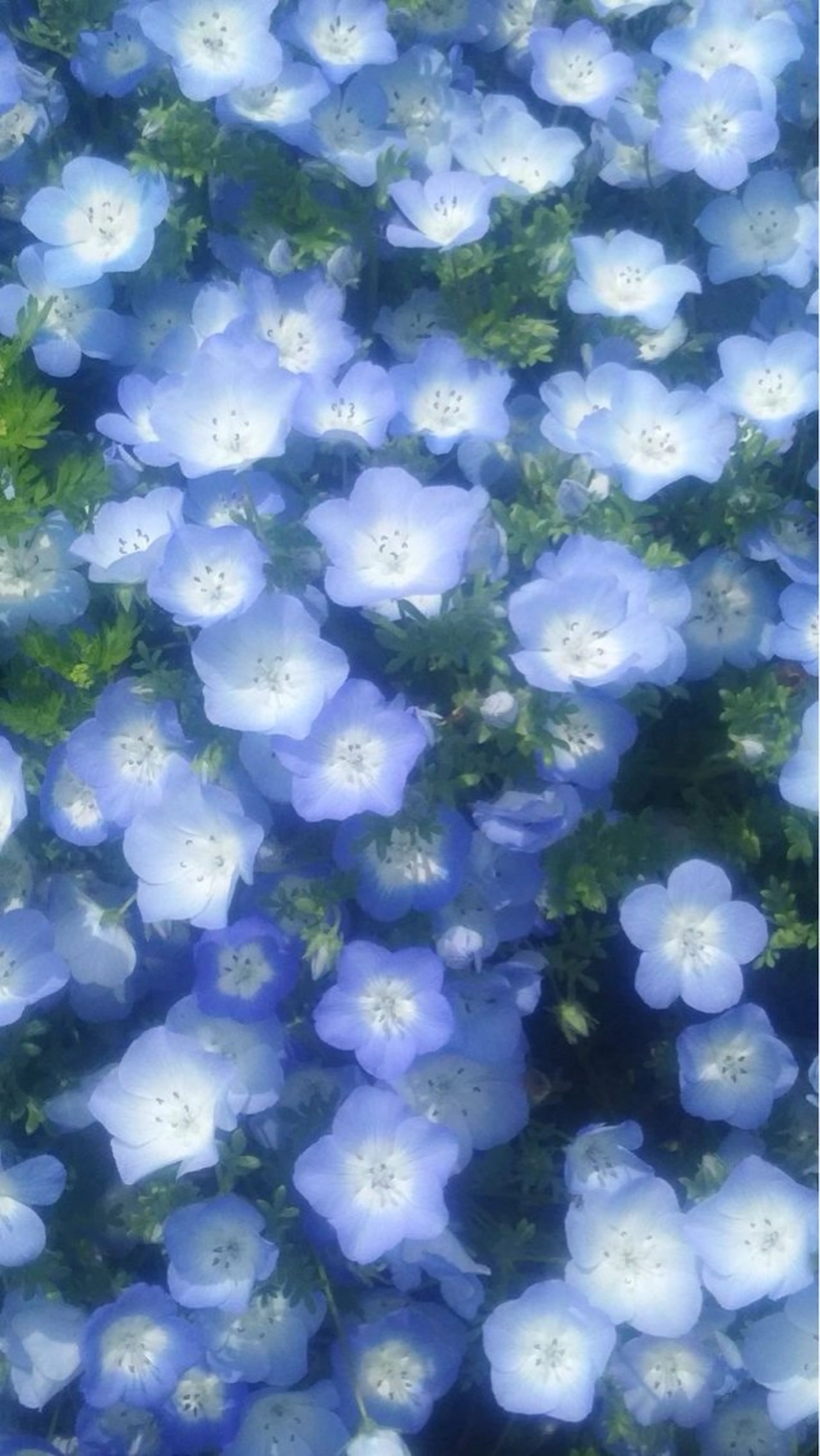 オト/レイヤー/ Wカラー/メンズのヘアスタイル