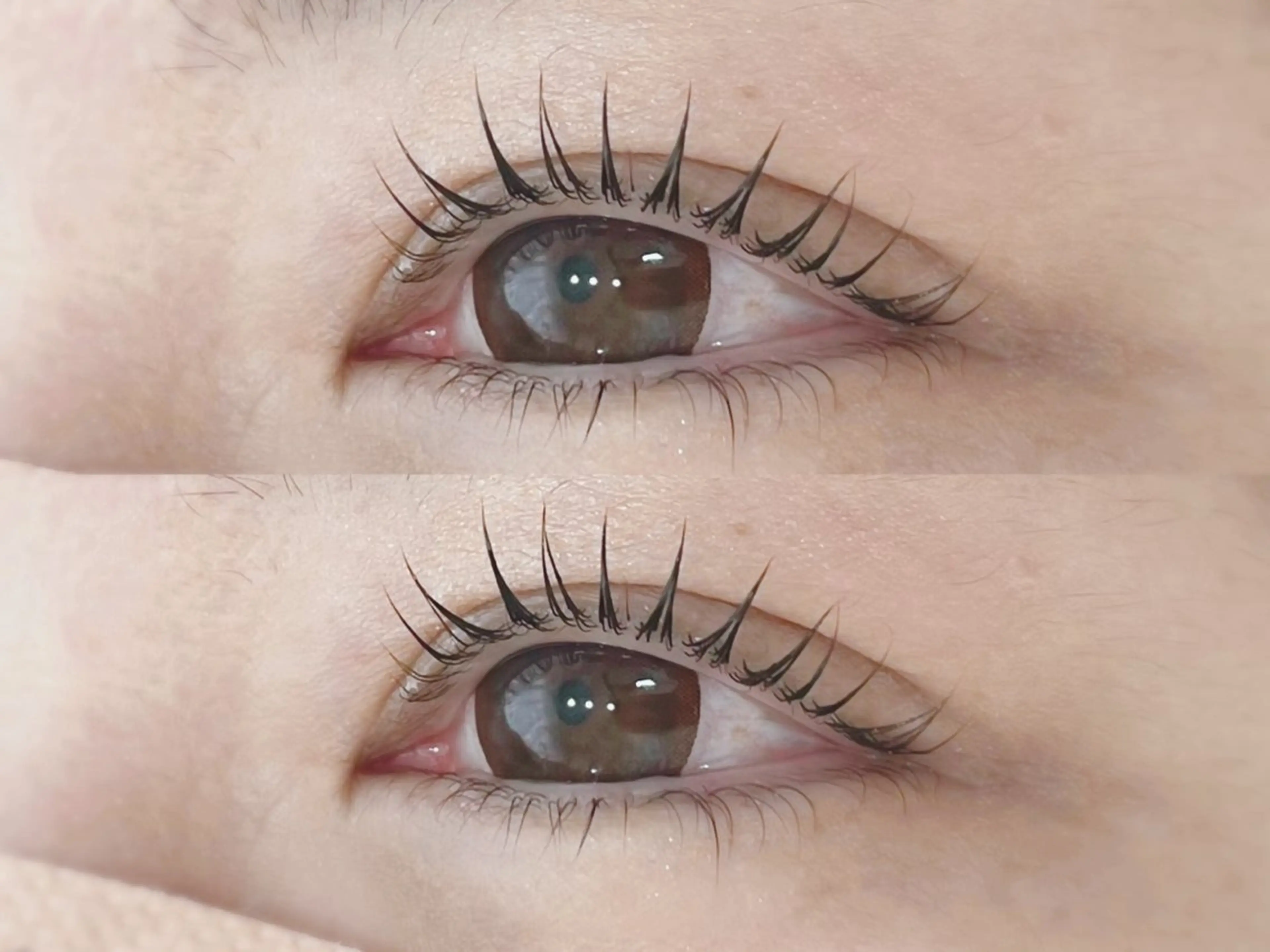 【人気No.1】パリジェンヌラッシュリフト✨当日予約⭕️の写真