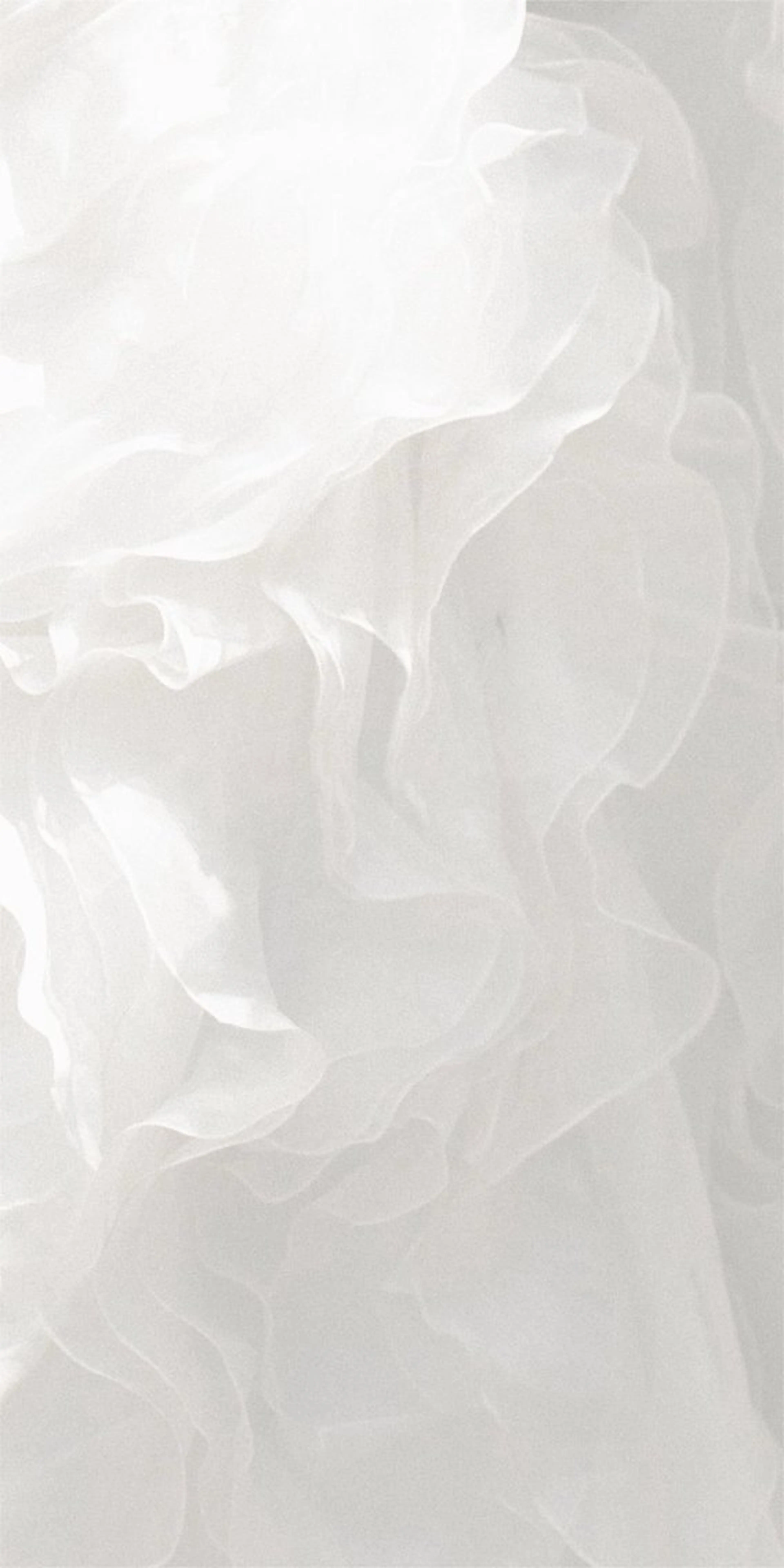 カラー 髙井 麻帆のヘアスタイル