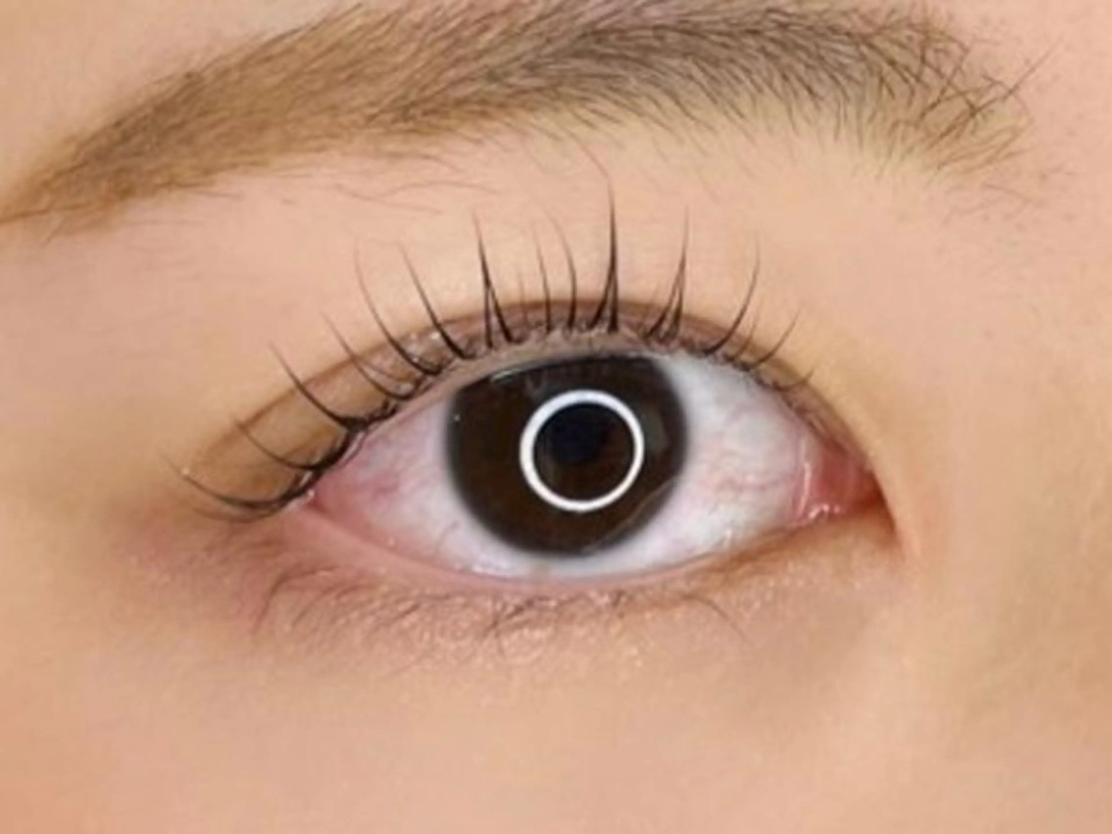 マツエク・マツパ まつげとまゆげ専門店 nonno.のマツエク・マツパデザイン