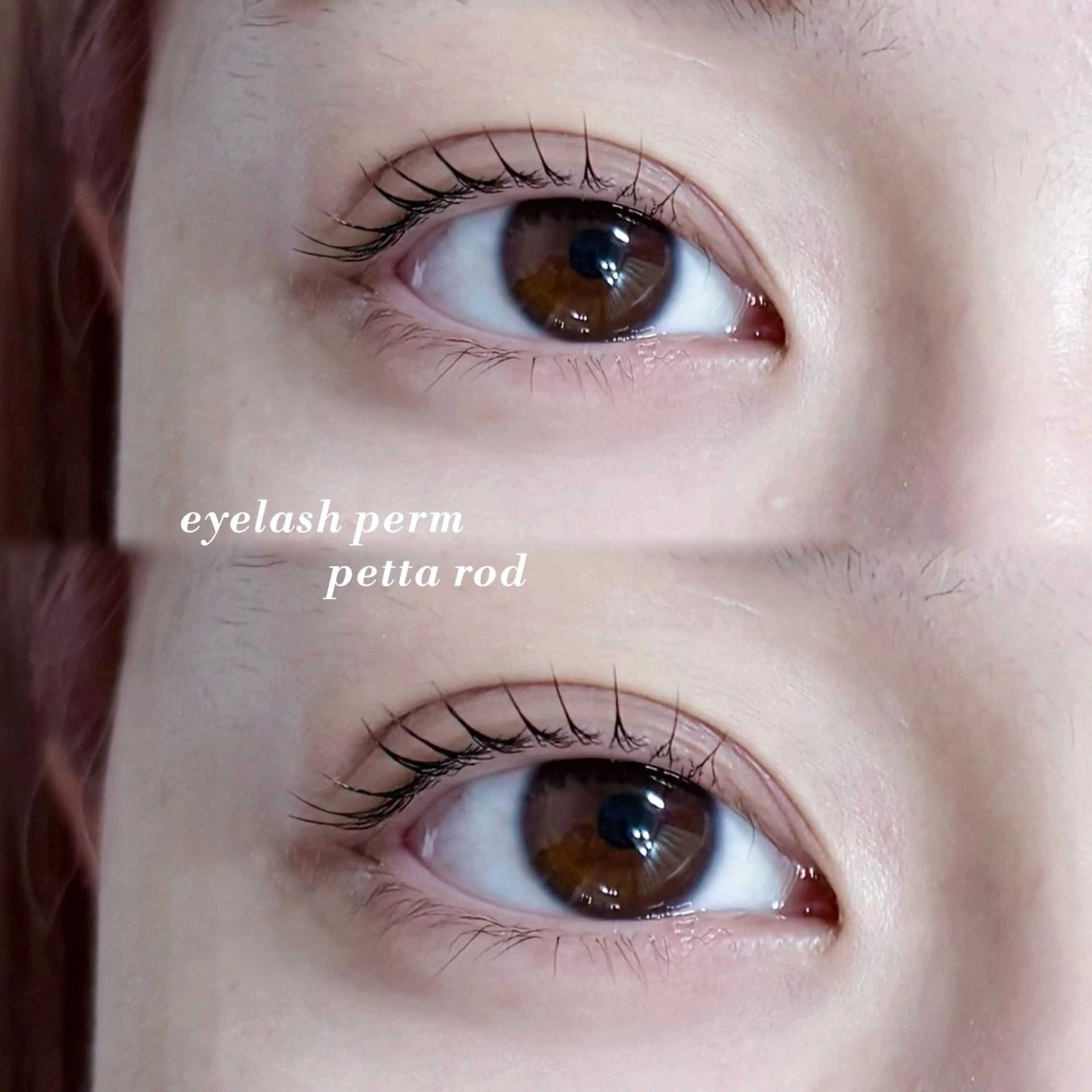 【 2月限定 】韓国で話題🖤マスカラまつ毛パーマ🎀♩コーティング剤お仕上げ✨️の写真