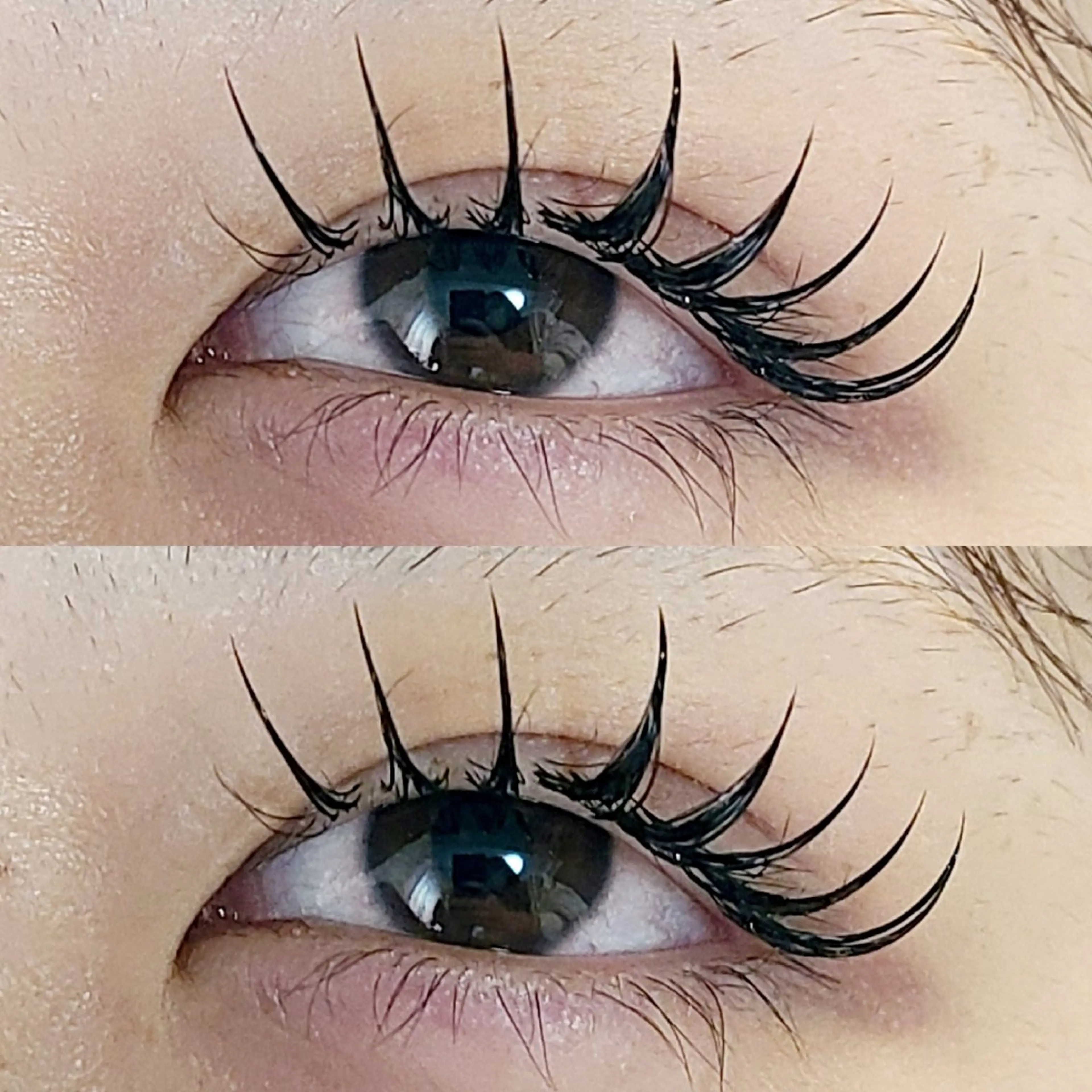 マツエク・マツパ 束感まつ毛 フラットラッシュ 韓国風マツエク マツエク セレビアイ/ ISHIIのマツエク・マツパデザイン