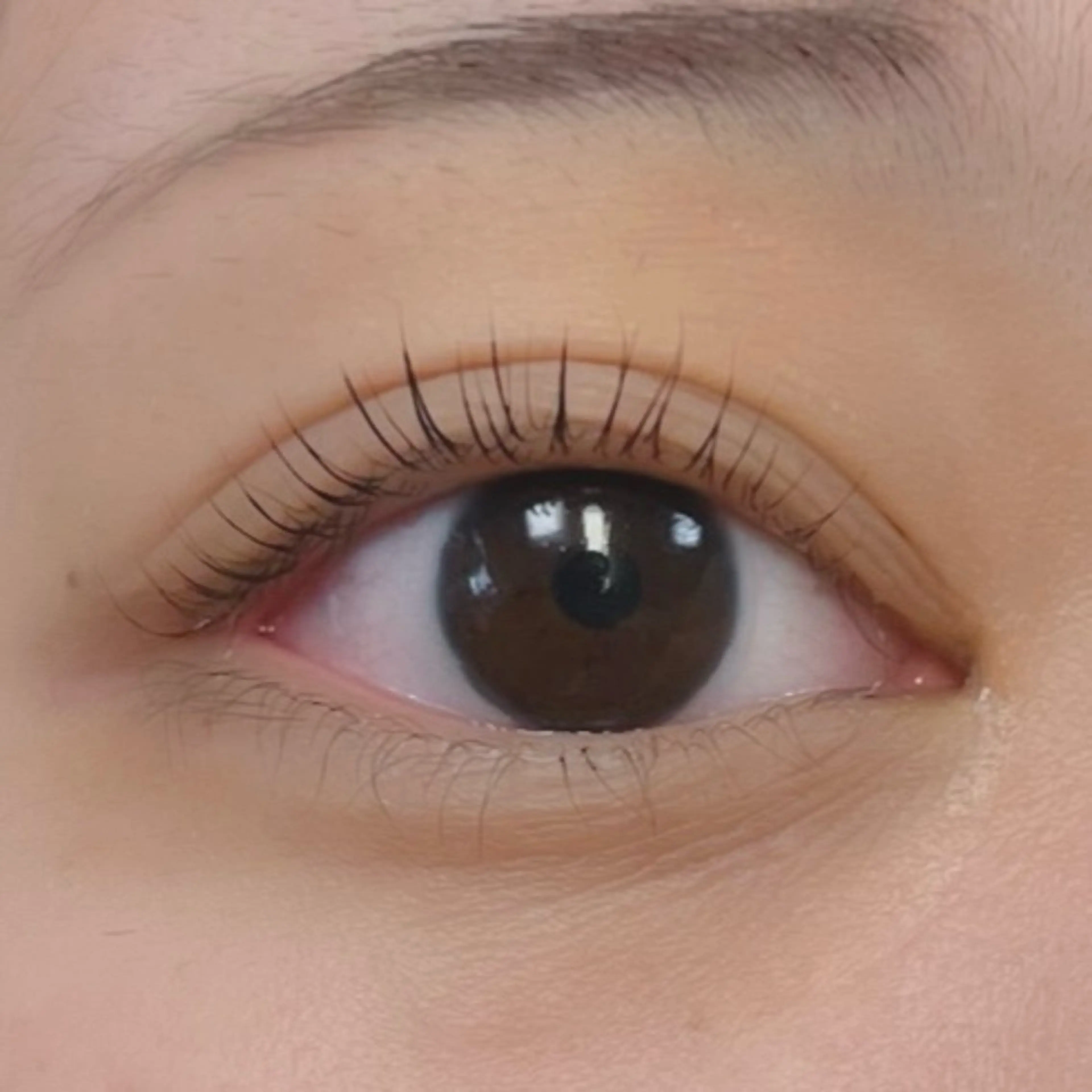 マツエク・マツパ Moe/韓国風/ 束感/キュート❤︎のマツエク・マツパデザイン