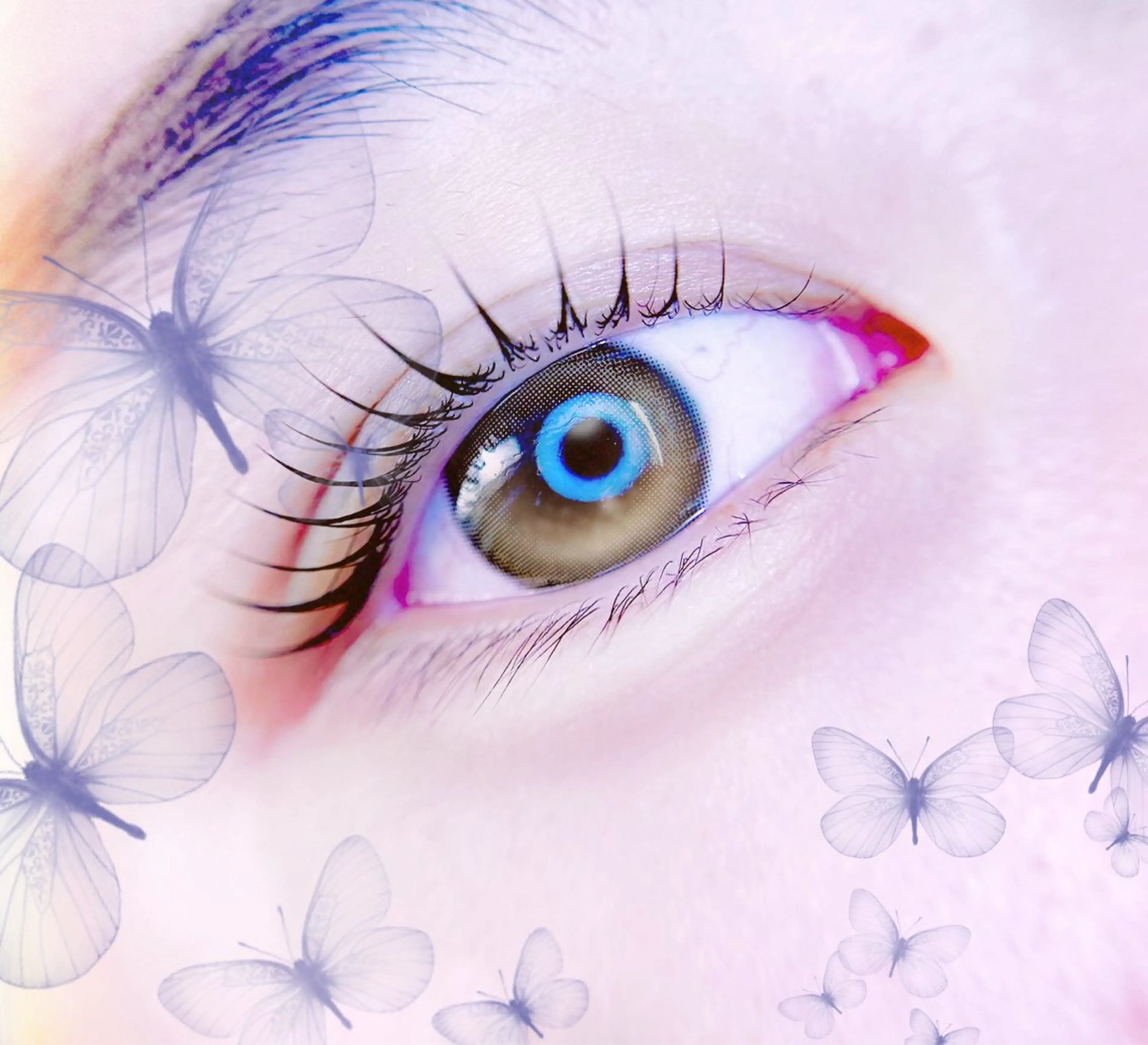 マツエク・マツパ 🎀eyelist. mizuki🐈‍⬛の眉毛・アイブロウイメージ