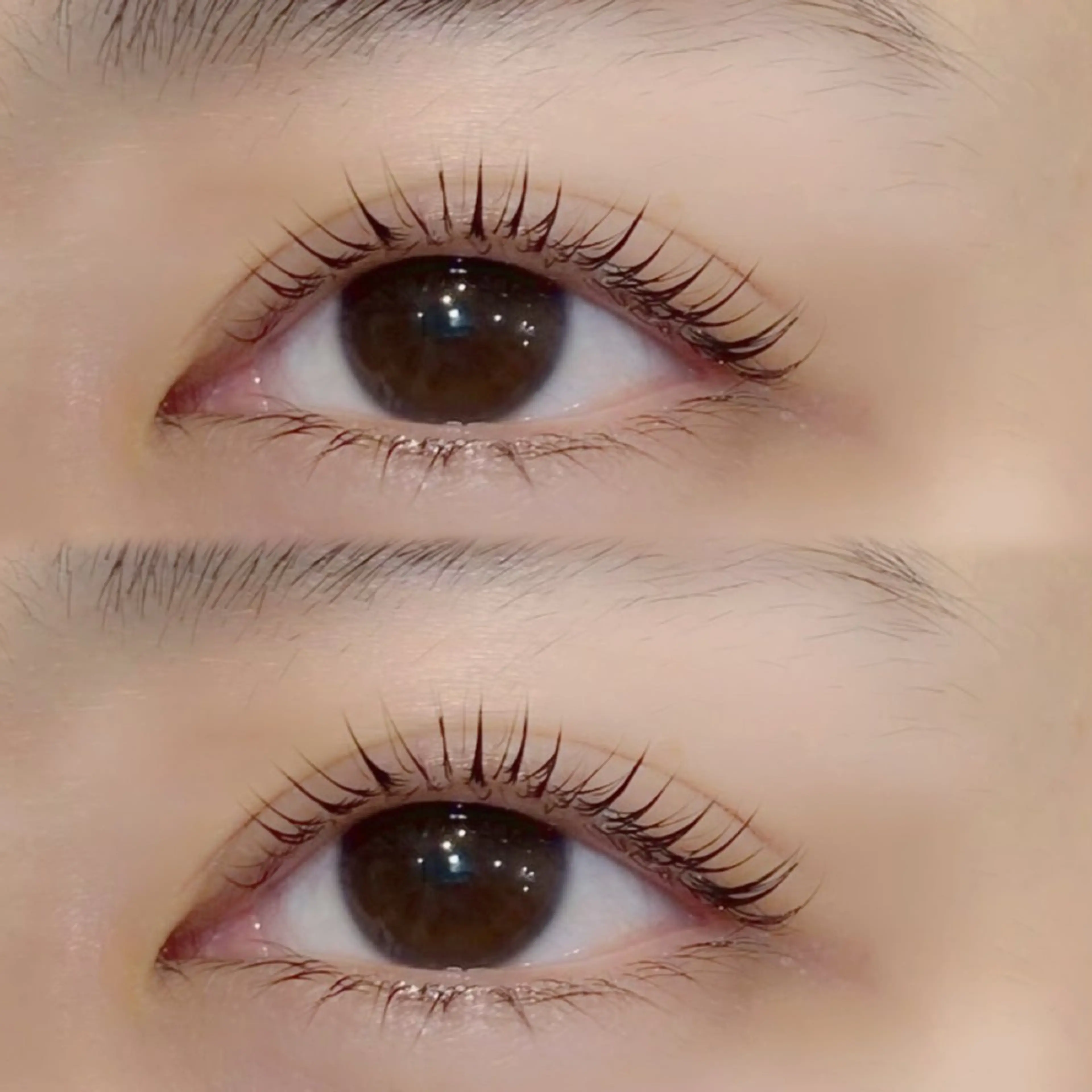 マツエク・マツパ マツパ Loco❤︎ 布施の眉毛・アイブロウイメージ