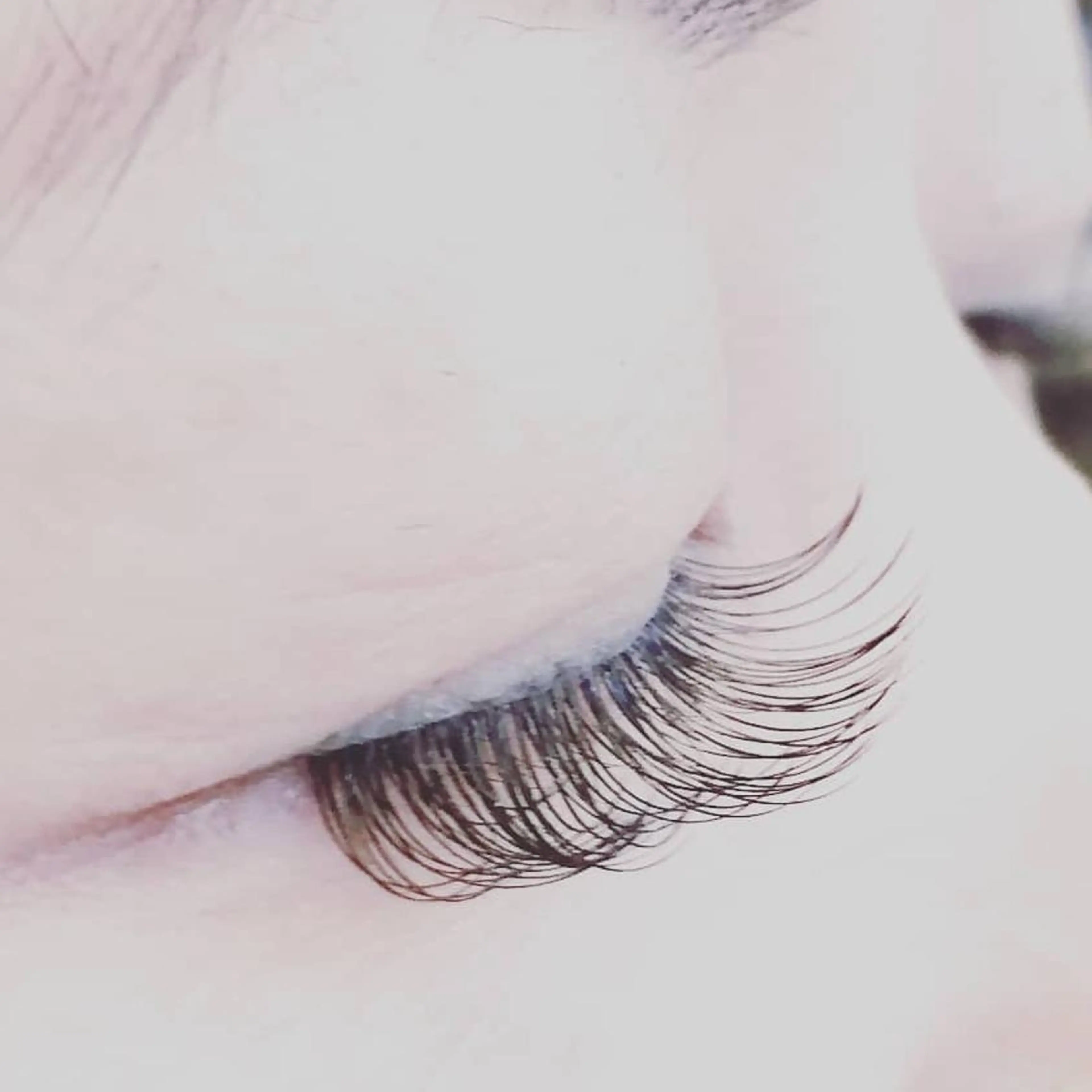 マツエク・マツパ フラットラッシュ eyelash Amourのマツエク・マツパデザイン