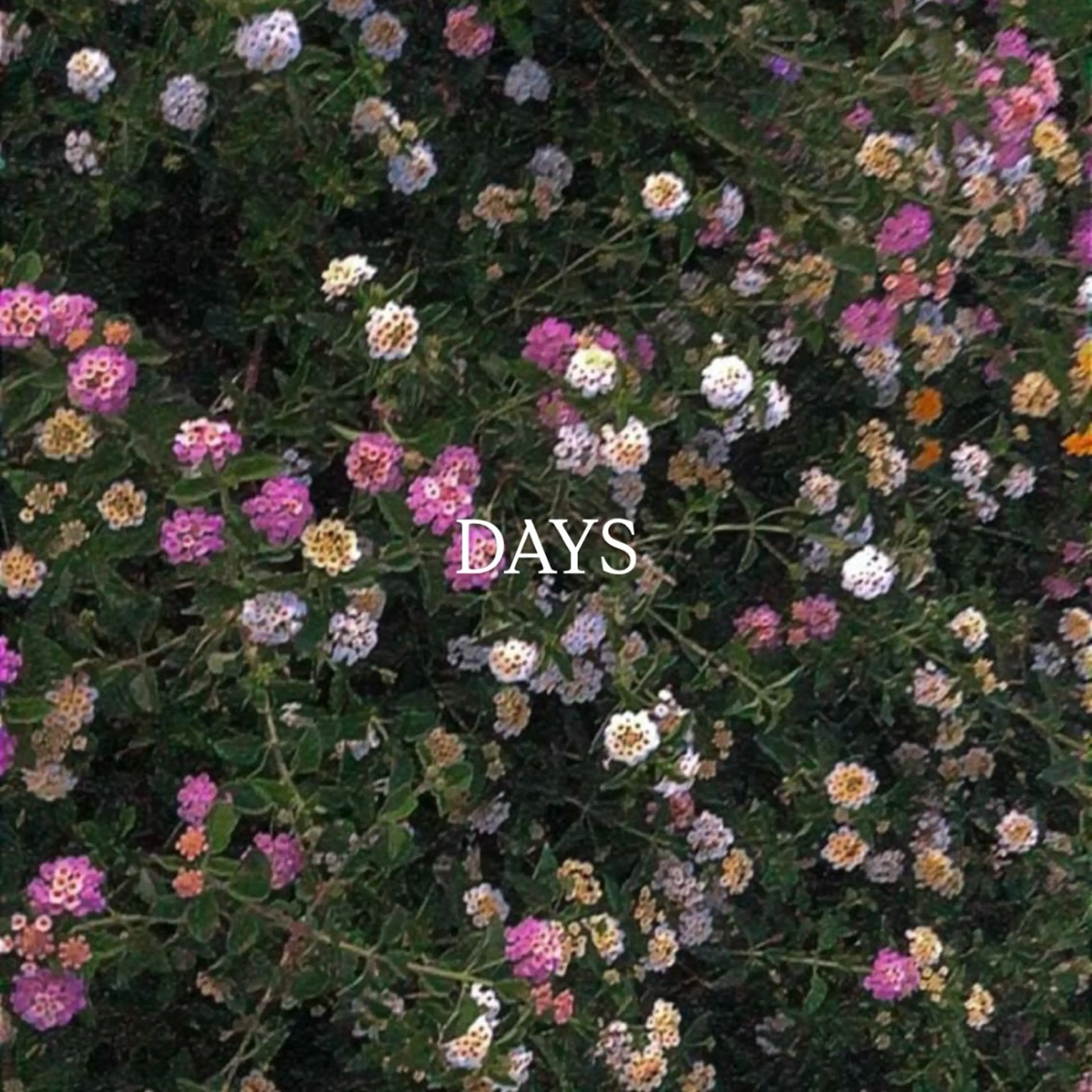 ショート カラー KANA/ボブ/ インナーカラー/艶髪のヘアスタイル