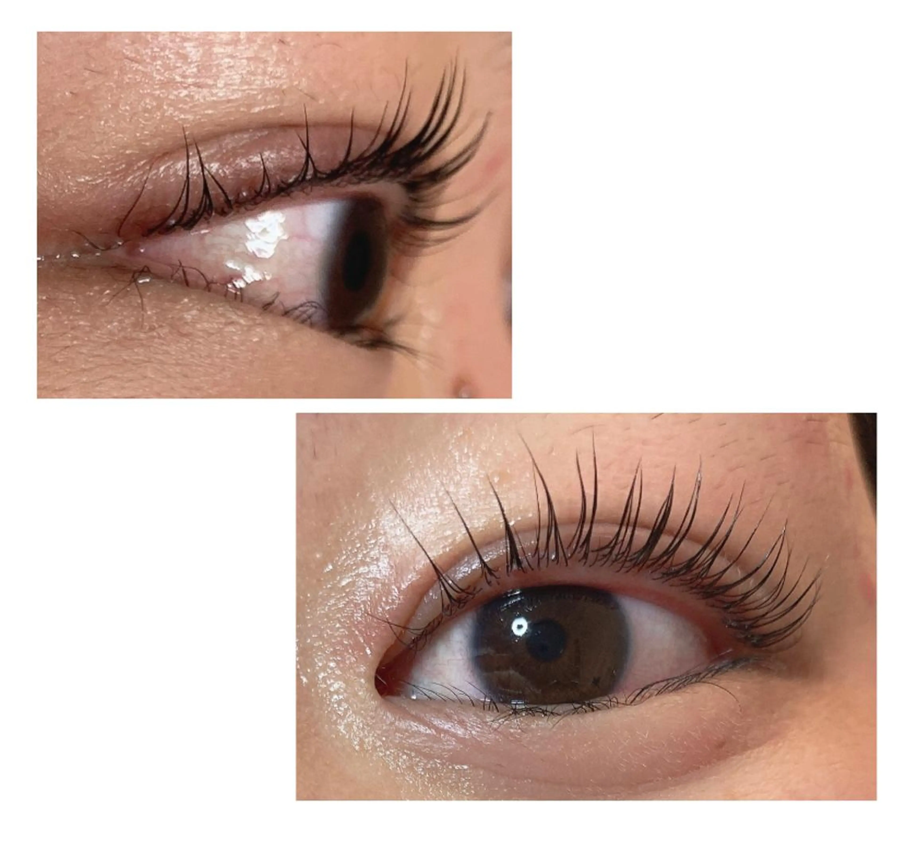 マツエク・マツパ パリジェンヌラッシュリフト ♡tiana juna˖ ࣪⊹のマツエク・マツパデザイン