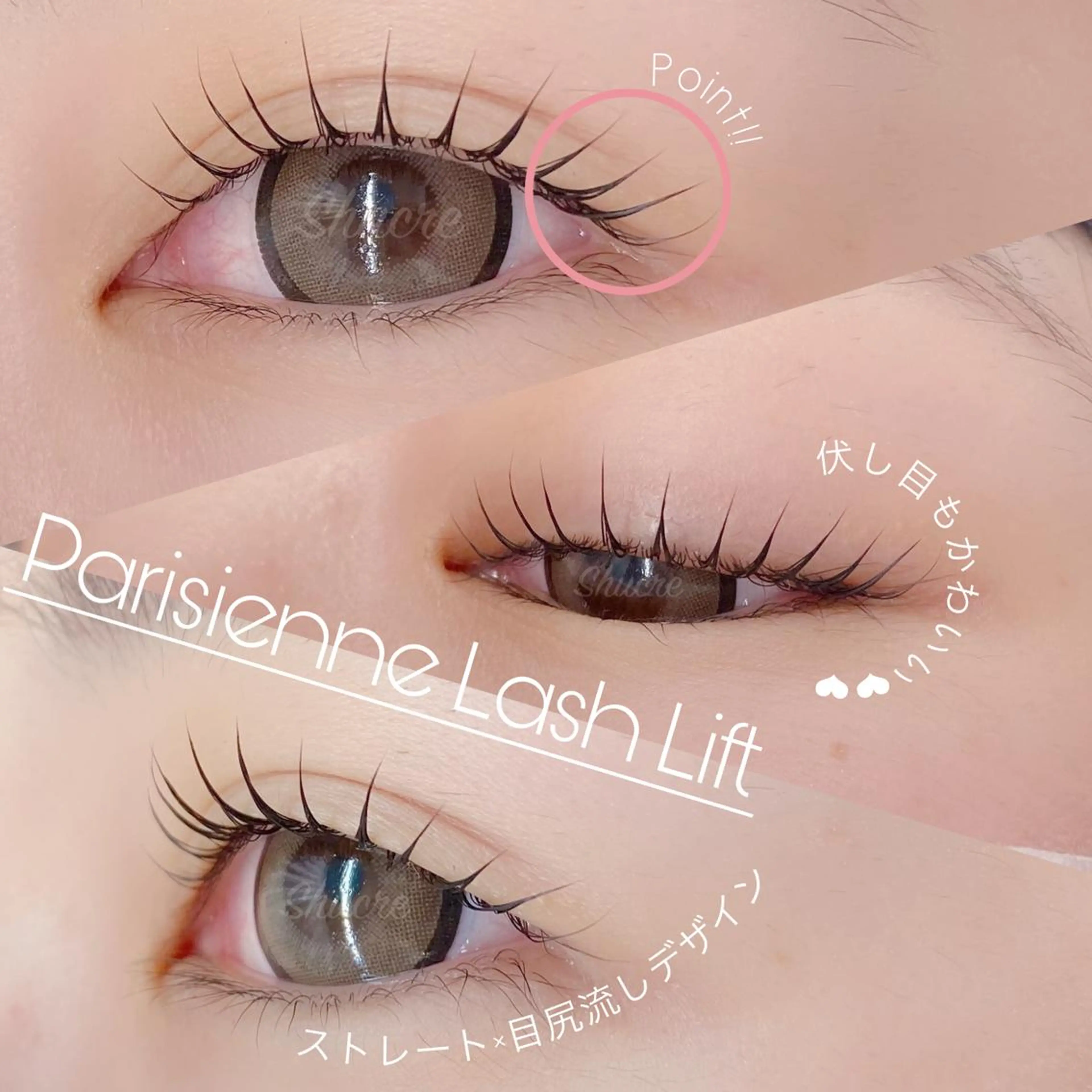 マツエク・マツパ Shucre栄店🤍 Rikaのマツエク・マツパデザイン