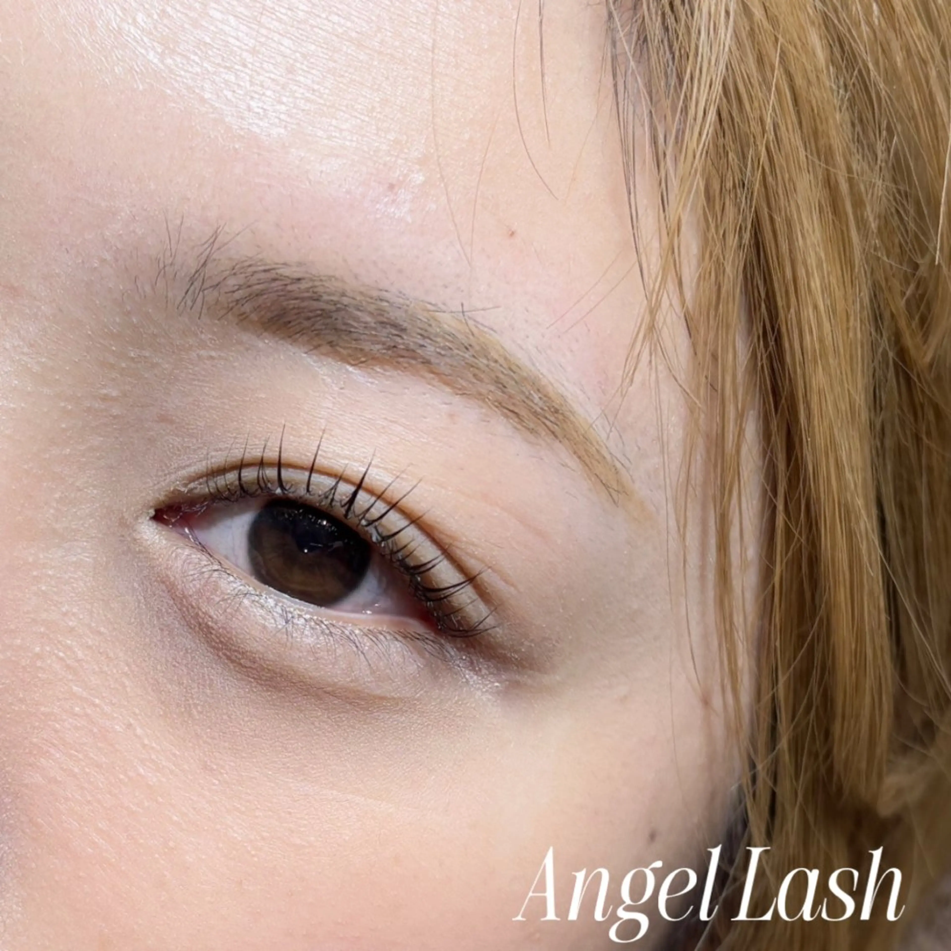 マツエク・マツパ パリジェンヌラッシュリフト AngleLash hayashiのマツエク・マツパデザイン