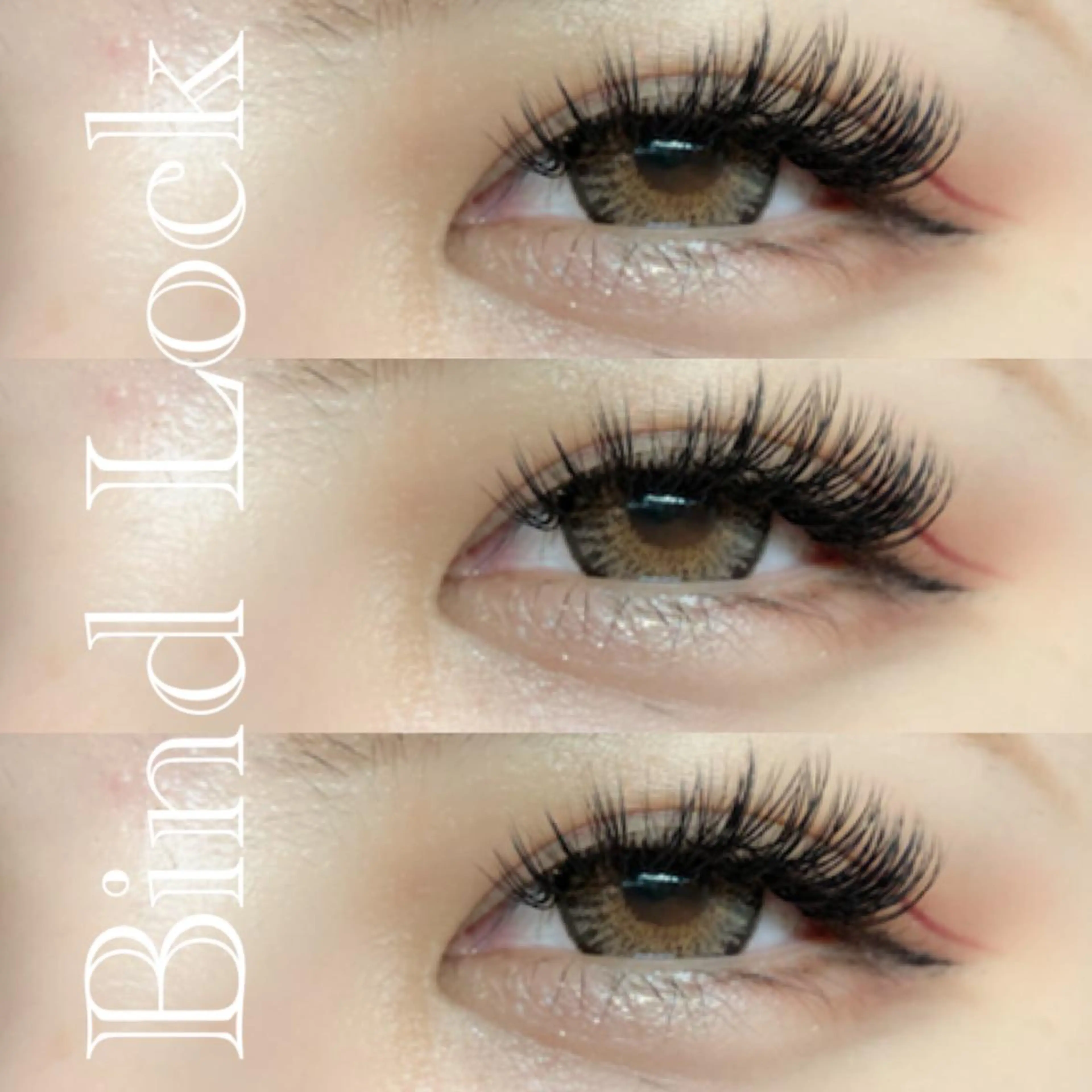 マツエク・マツパ バインドロック カラーマツエク フラットラッシュ セーブル ボリュームラッシュ NEO Beauty Salon所属・𝐍𝐄𝐎 𝐉𝐔𝐑𝐈のネイルデザイン