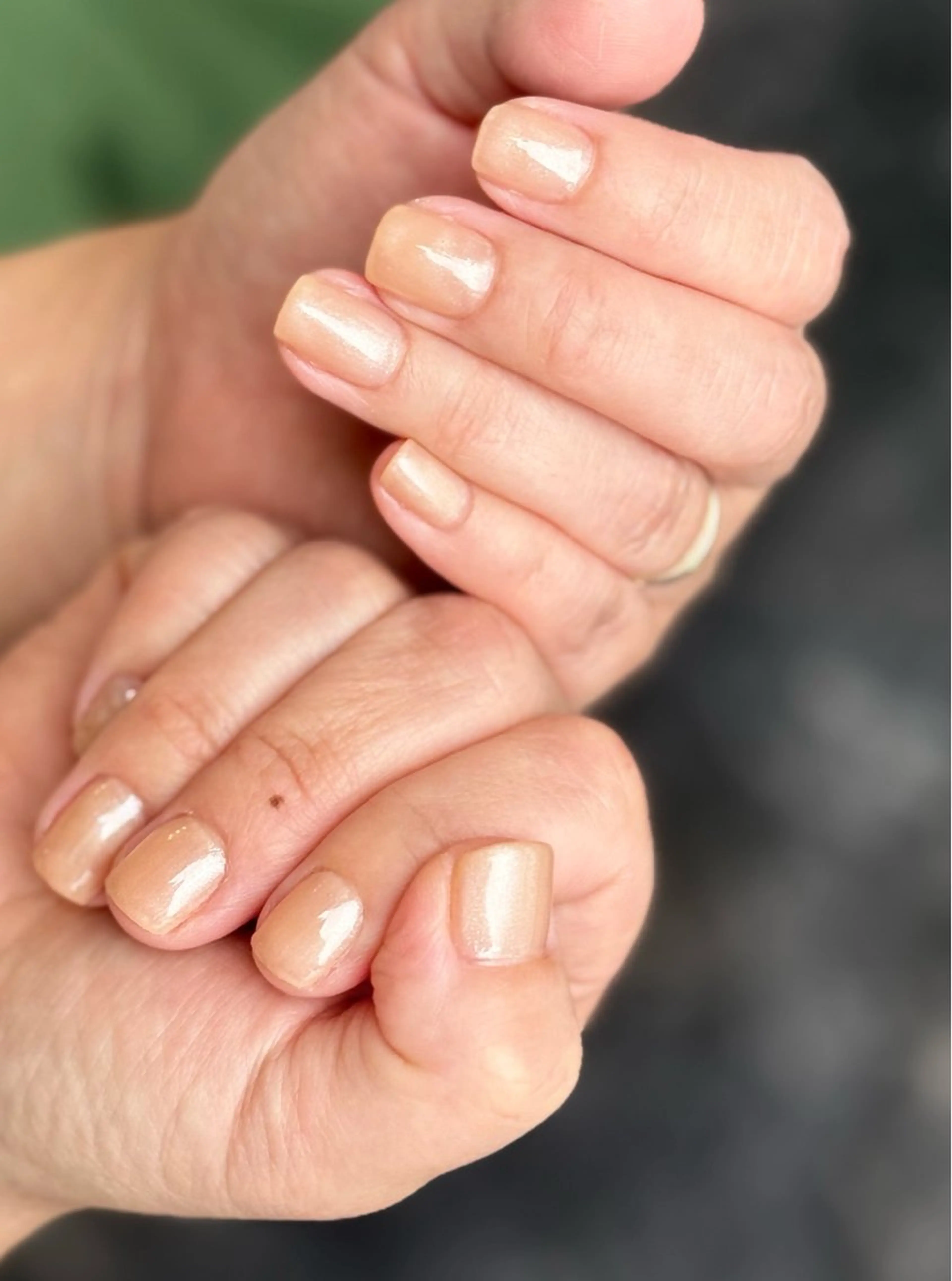 ネイル ワンカラーネイル Regina Marinaのネイルデザイン