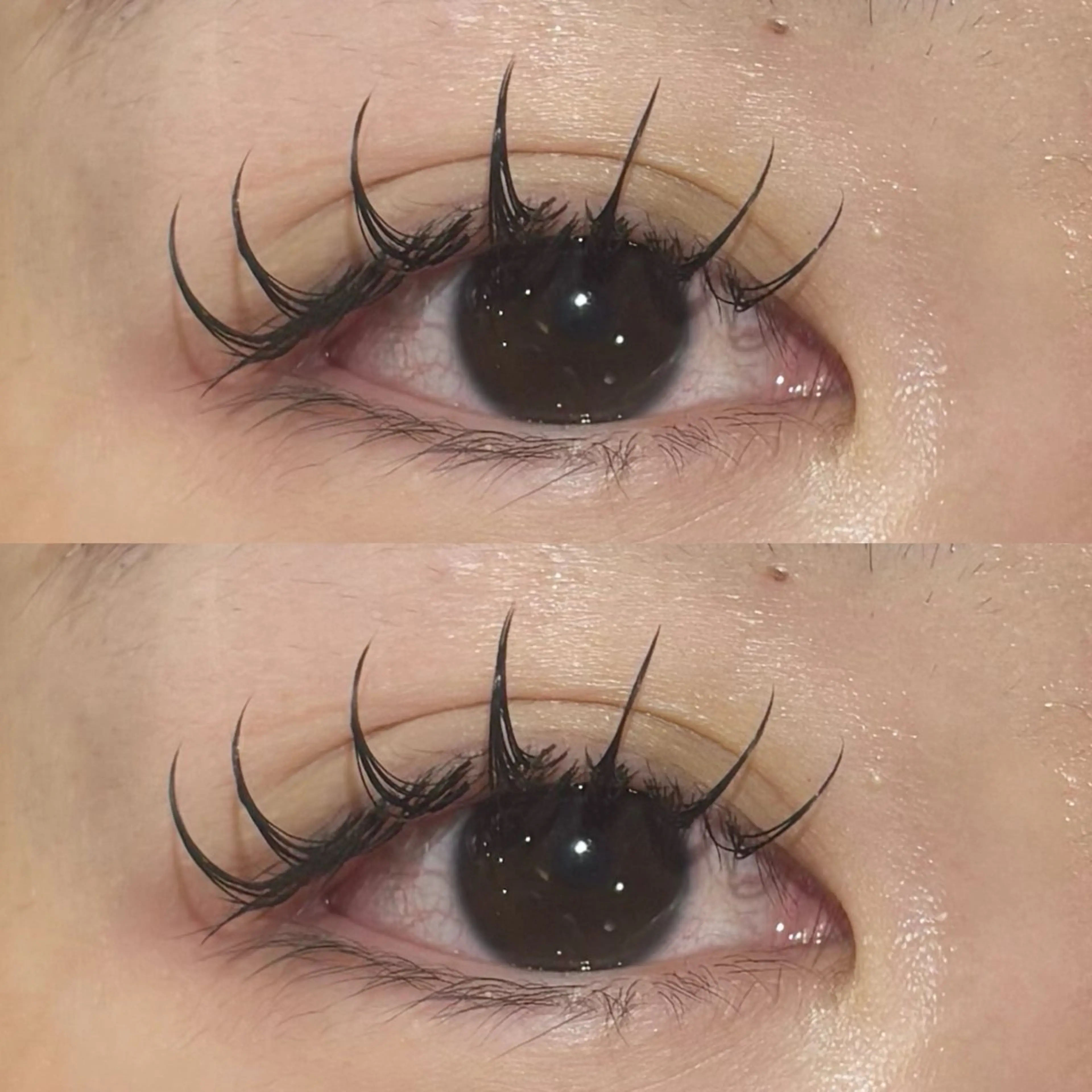 マツエク・マツパ フラットラッシュ マツエク 🍇chinatsu 🍇en Rêveのマツエク・マツパデザイン