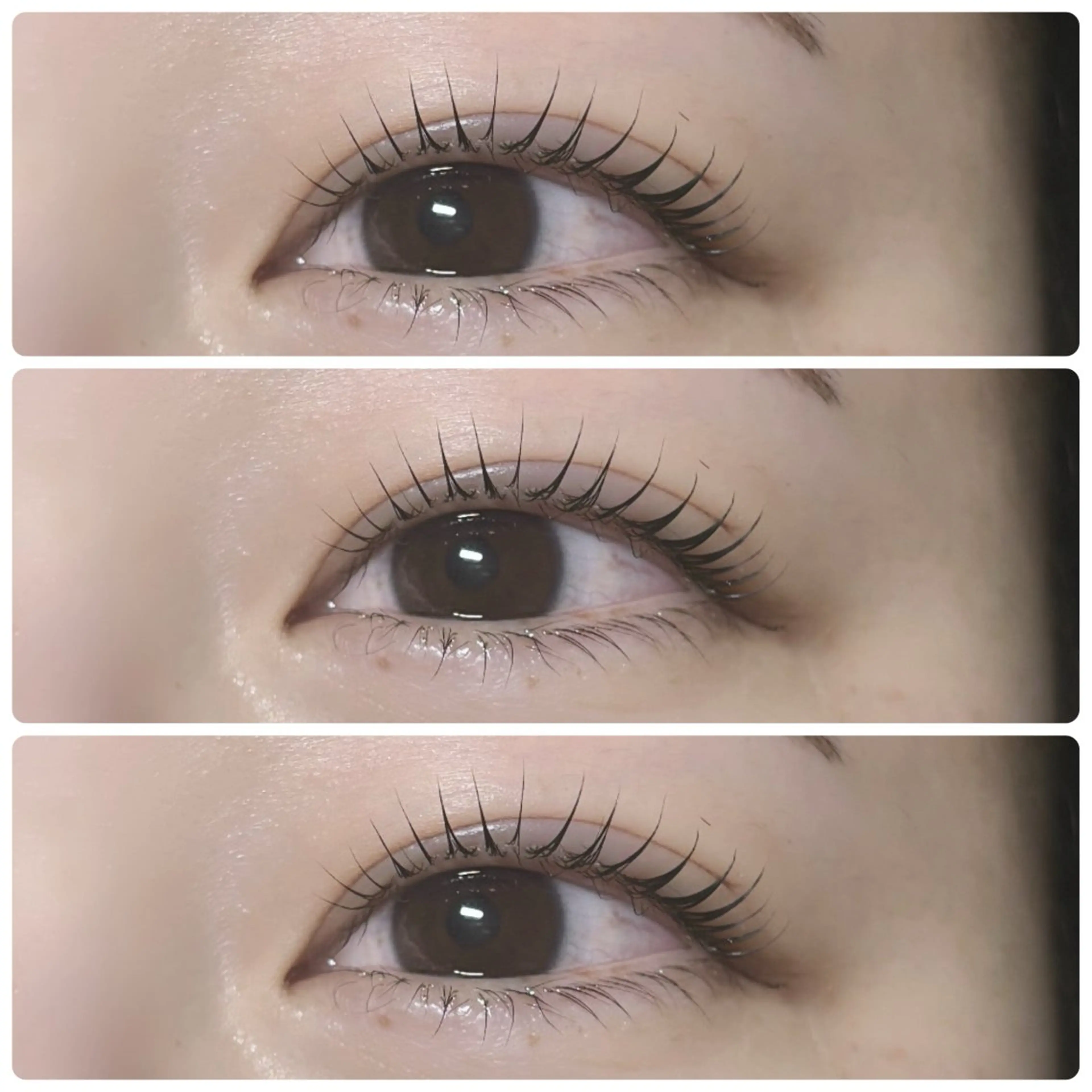 マツゲパーマ🪞アイシャンプーと美容液仕上げ付き🪄の写真