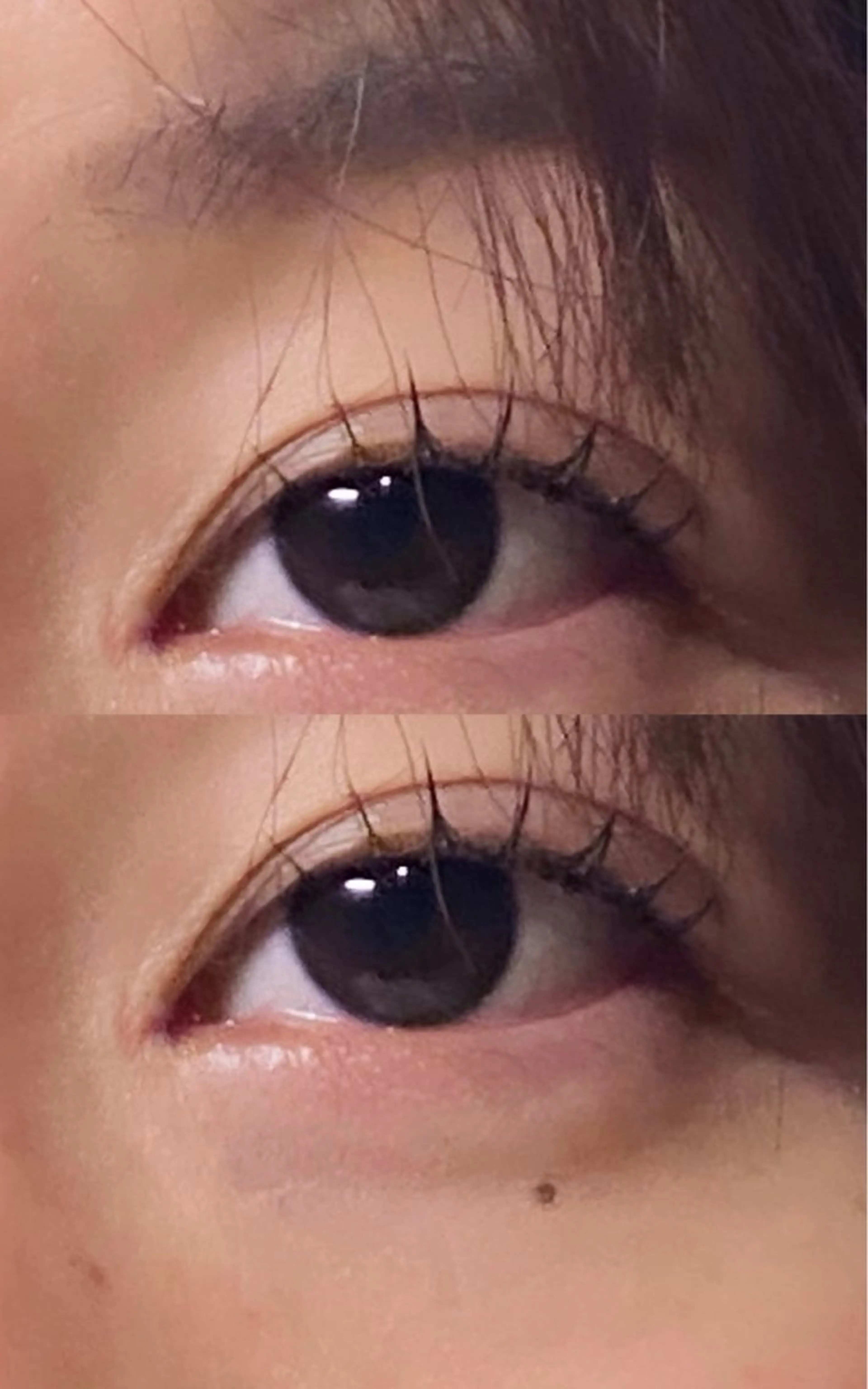 マツエク・マツパ 宮本麻央🎀🪽L ULUeyelashのマツエク・マツパデザイン