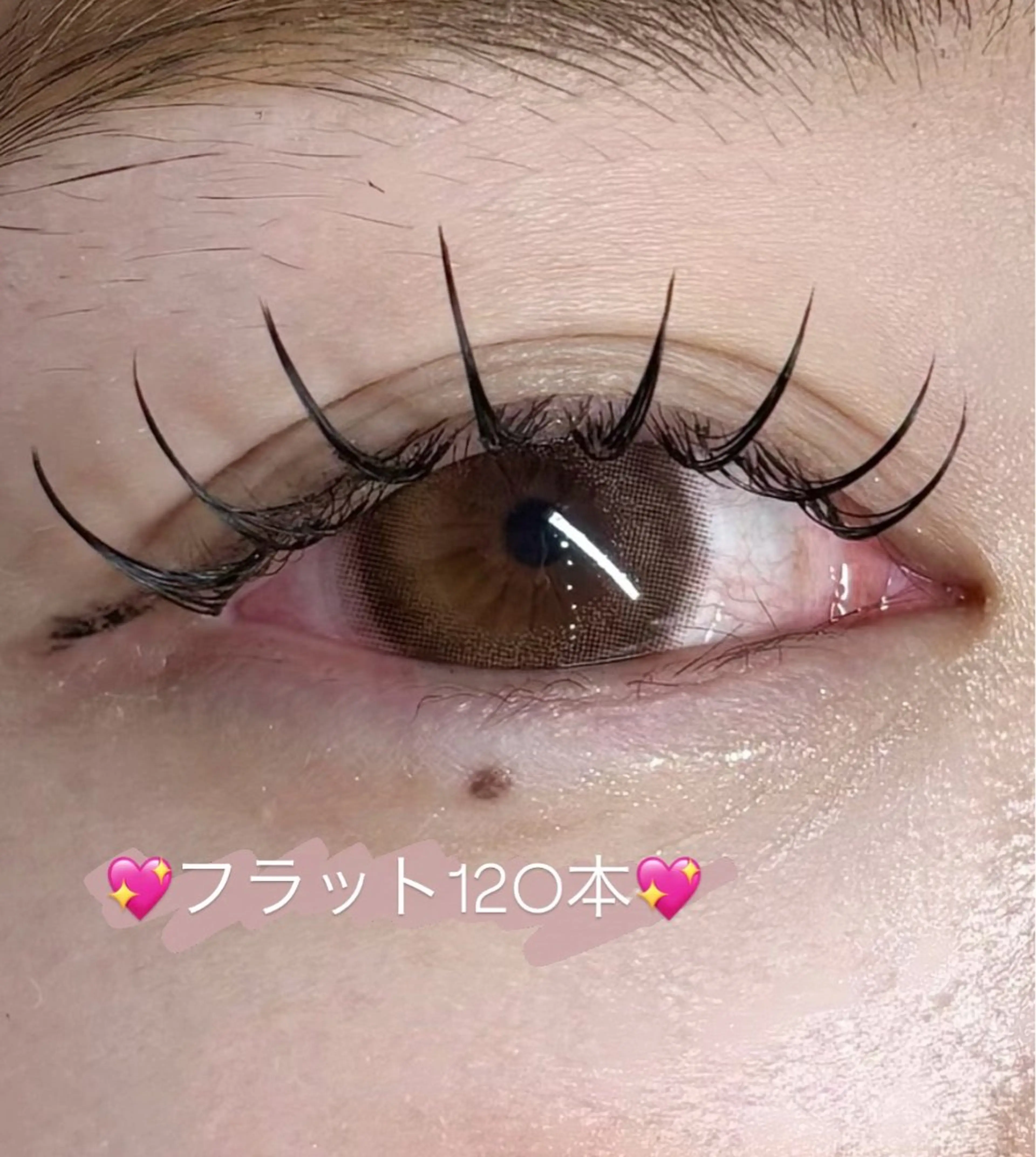 マツエク・マツパ マツエク BUNNYEYES SUZUのマツエク・マツパデザイン