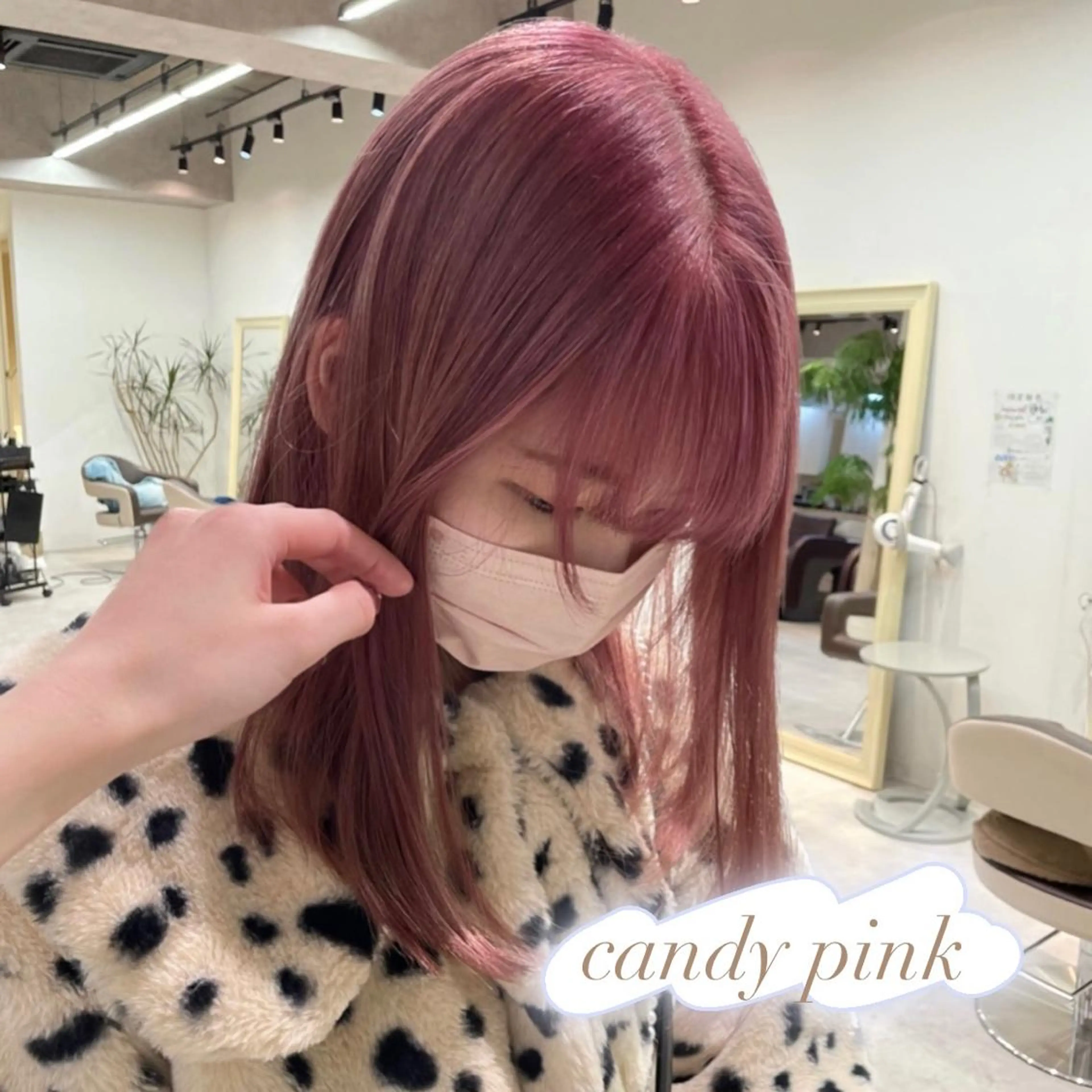 ミディアム カラー ラベンダーカラー ラベンダーピンク ピンクカラー ヘアカラー ピンクカラー🎀/ ミルクティー🍼花音のヘアスタイル