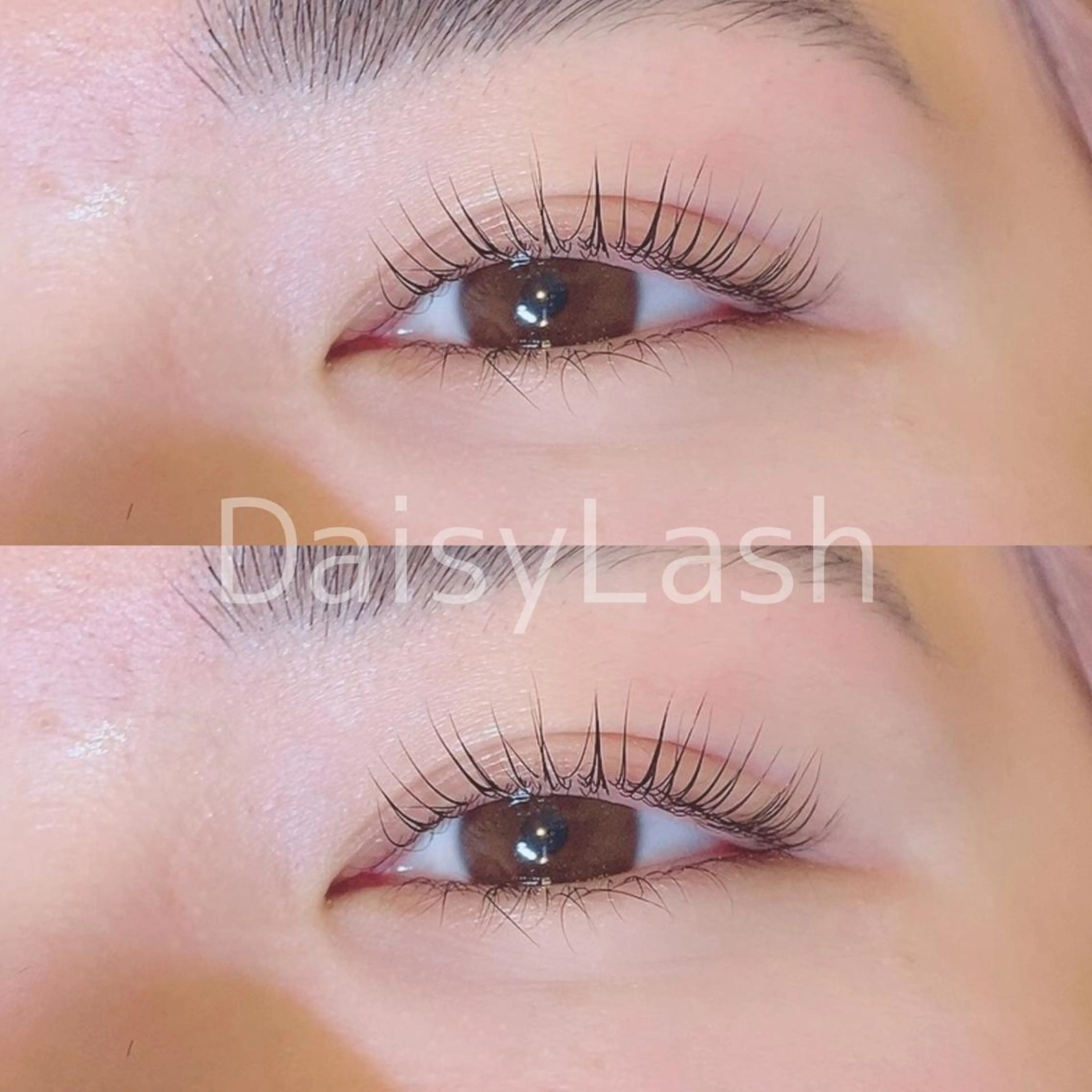 マツエク・マツパ DaisyLash 京橋店のマツエク・マツパデザイン