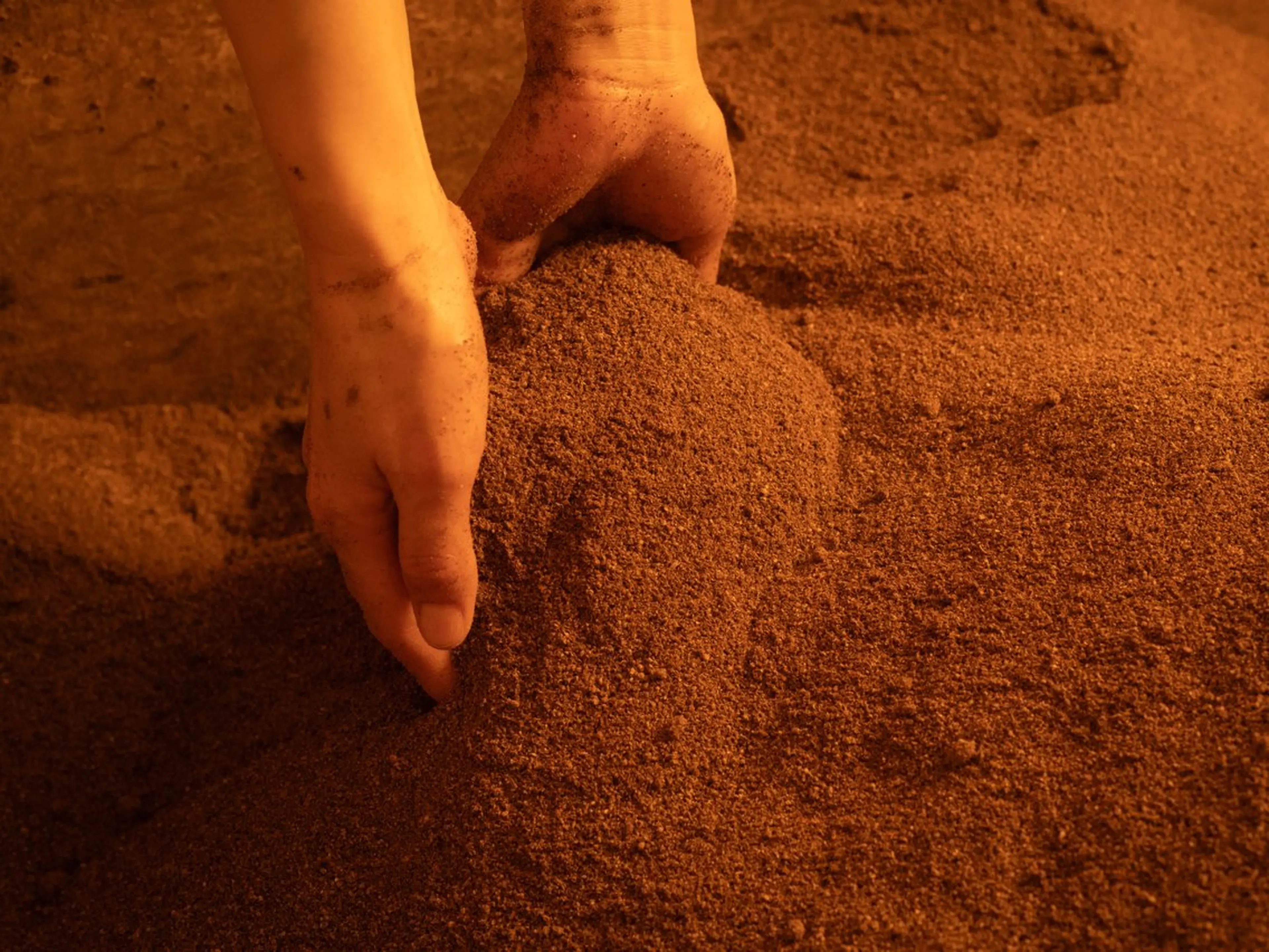 川崎酵素風呂  梅 健康足裹のエステ・リラクイメージ