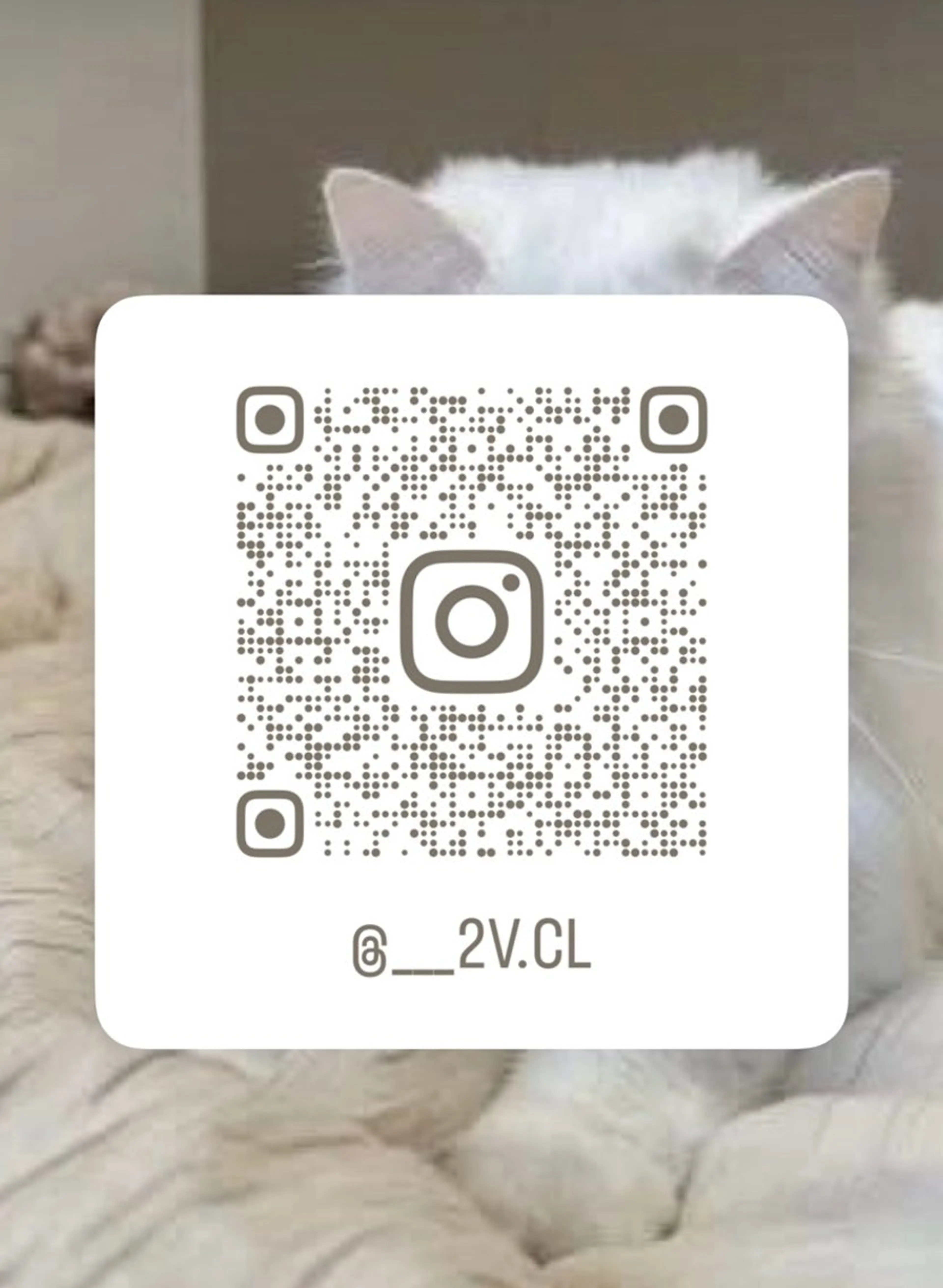 新宿♡暖色カラー/ エクステ/スズ‎🤍のヘアスタイル