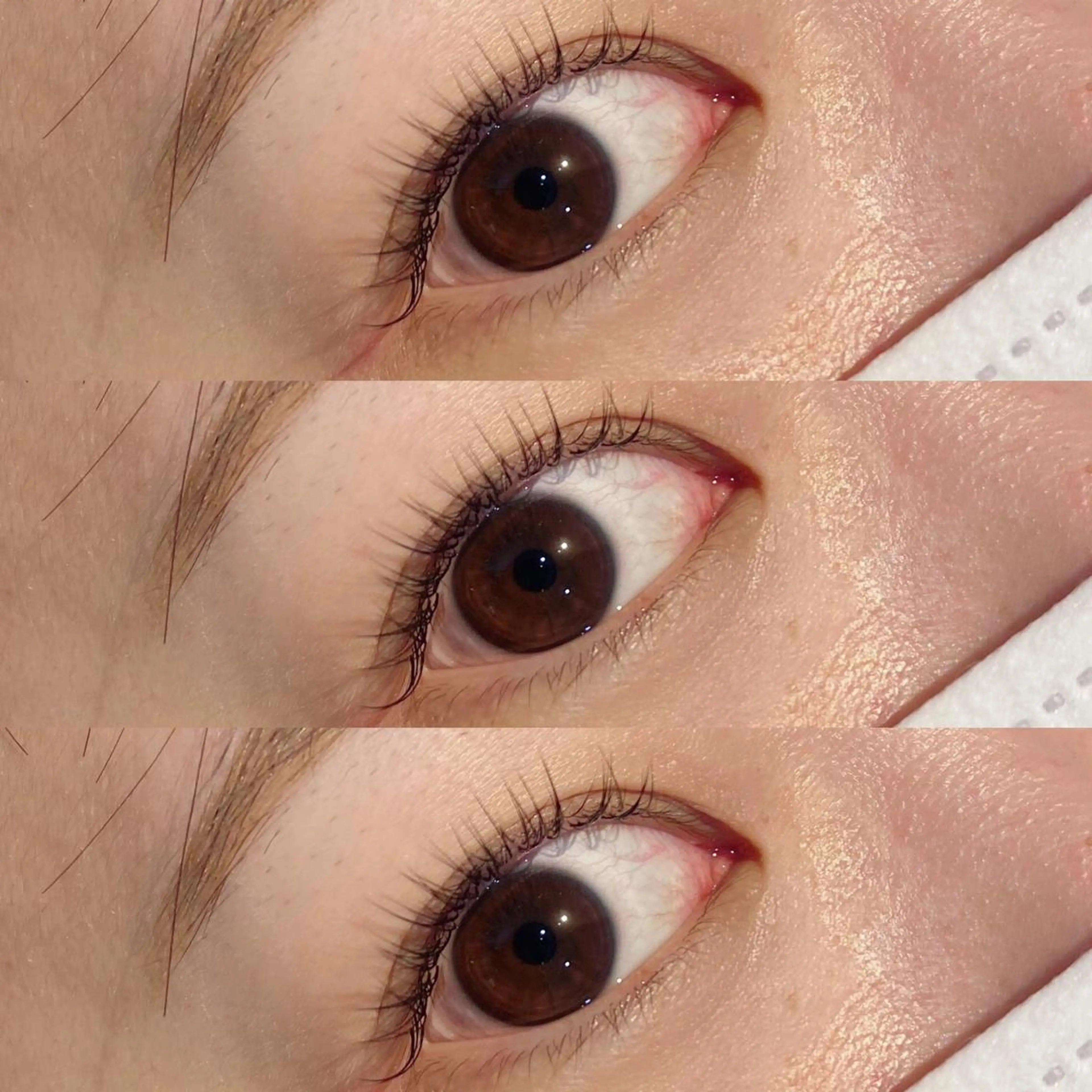 マツエク・マツパ フラットラッシュ Bianca 長津田店　長牛の眉毛・アイブロウイメージ