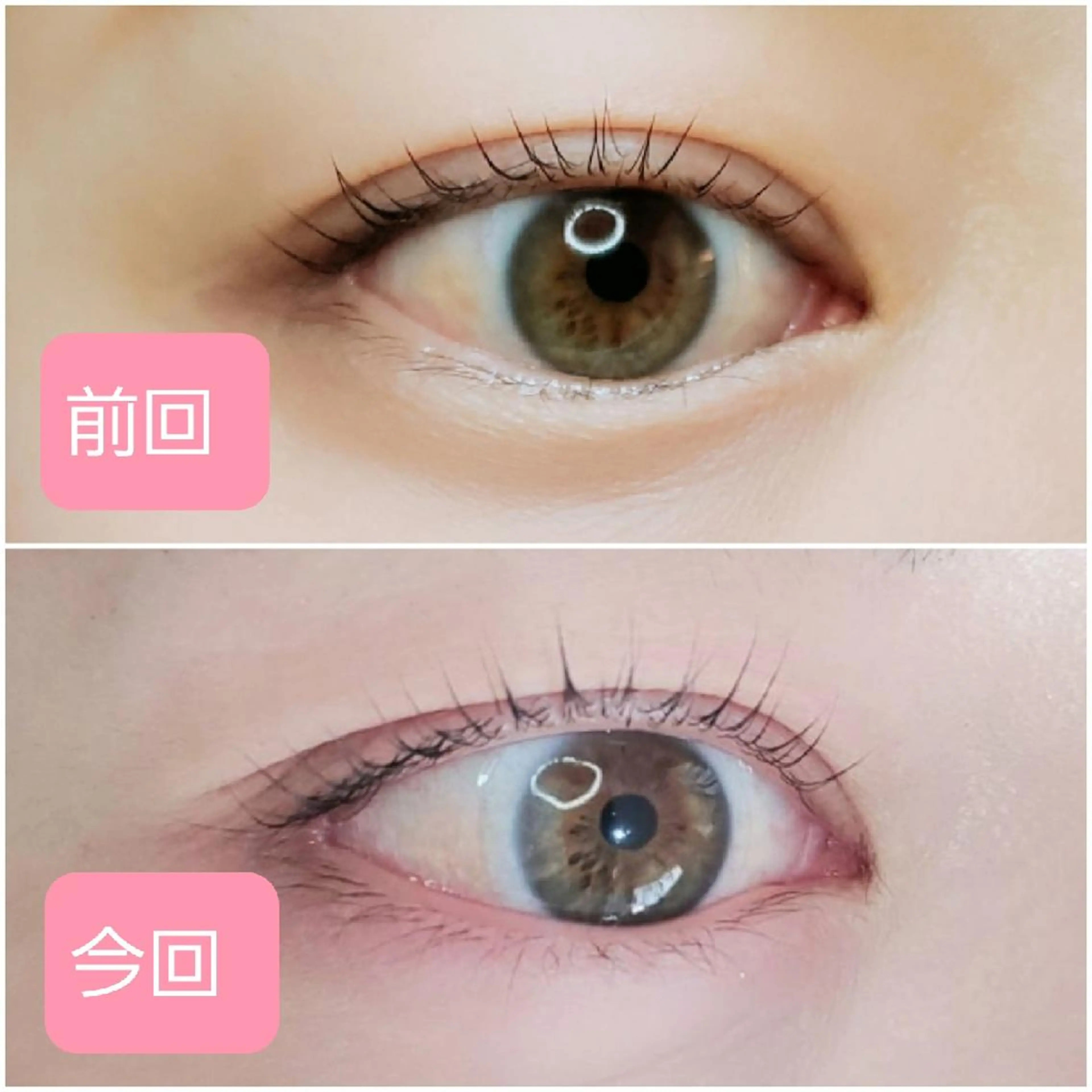 マツエク・マツパ 一重×まつ毛パーマ RICOA 酒井のマツエク・マツパデザイン