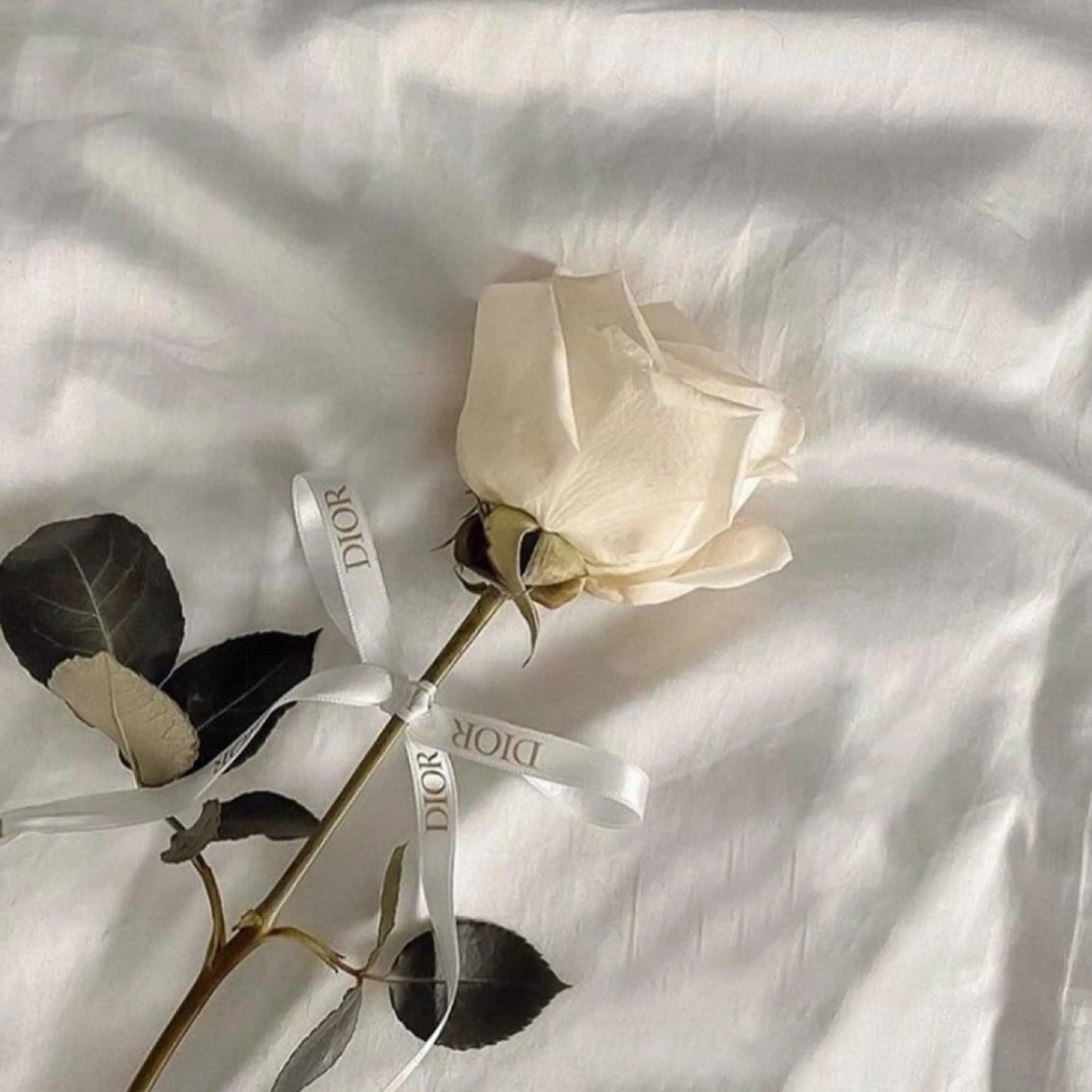 ネイル Locèlon .のネイルデザイン