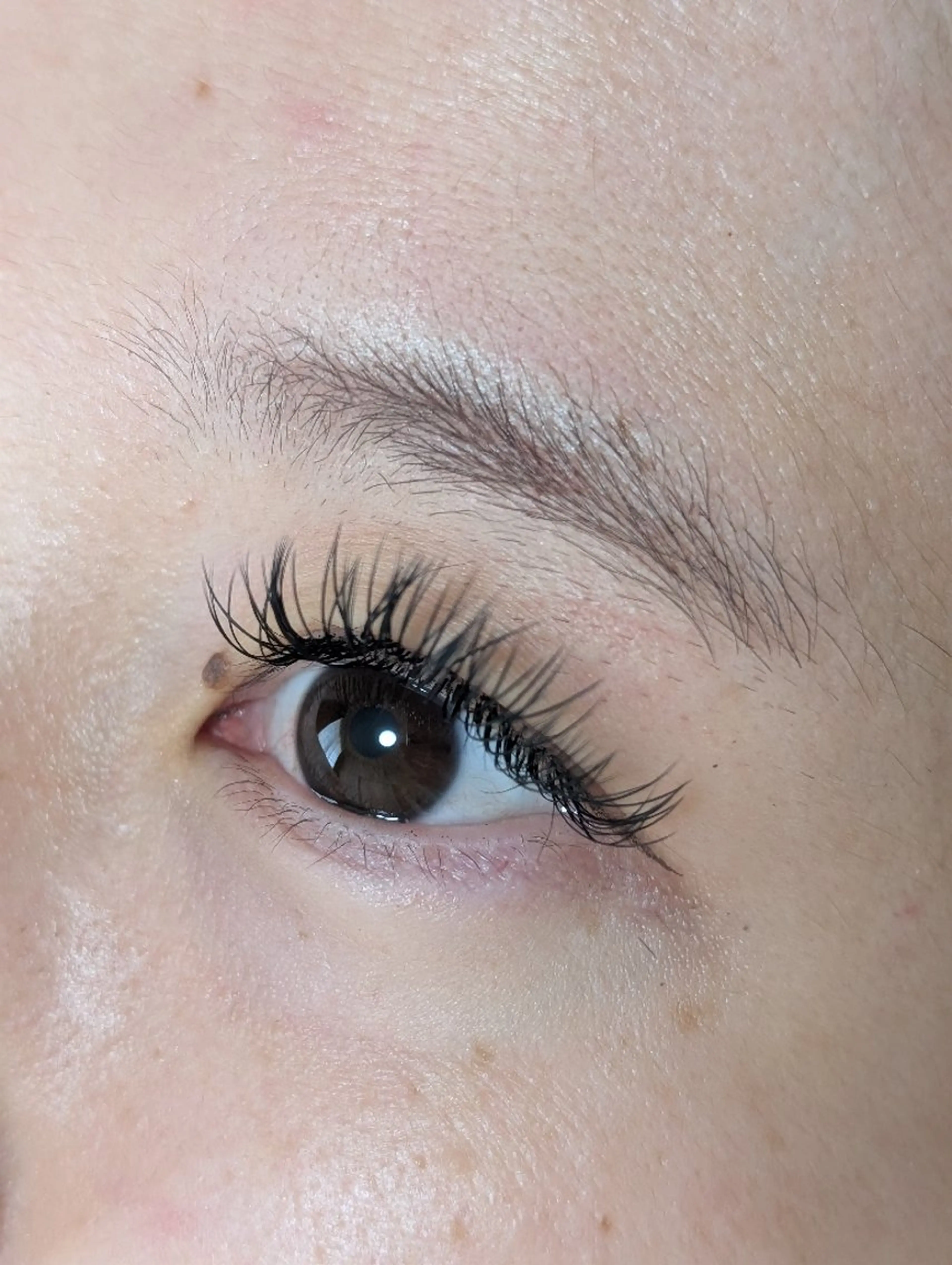 マツエク・マツパ マツエク EYELASH lino　合志市のマツエク・マツパデザイン