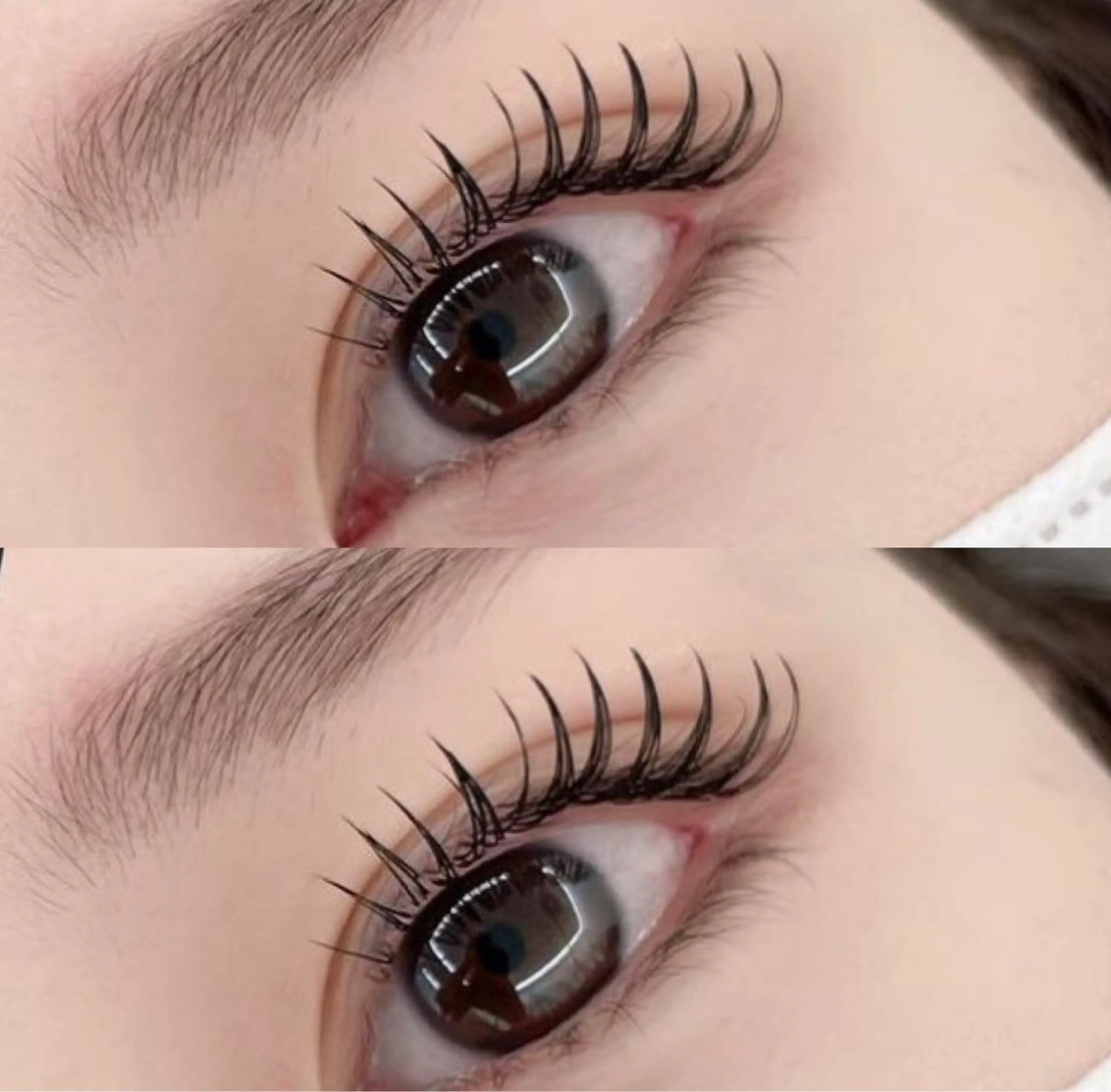 ▼ シングルラッシュ 100本 ご新規様オフ無料♥️の写真