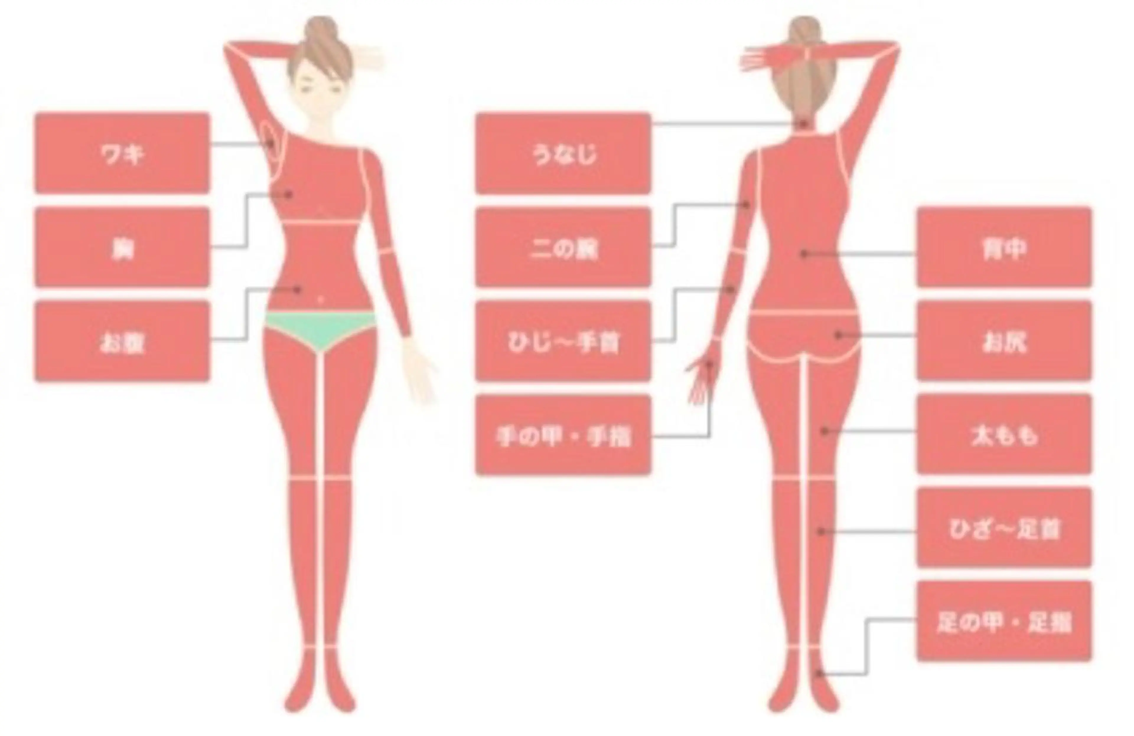 faith hair apros所属・faith hair apros.のエステ・リラクイメージ