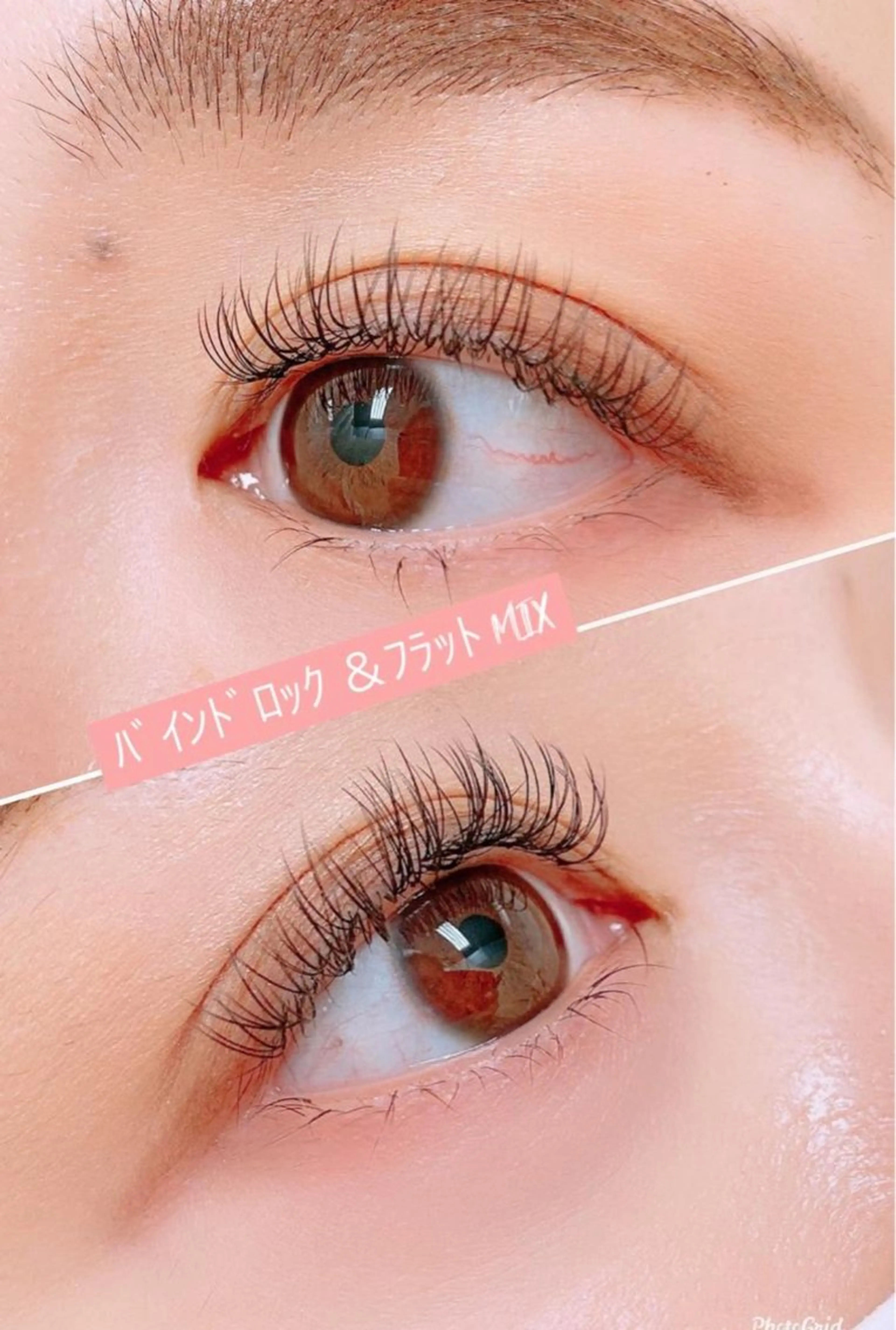 【バインドロック80束】または【ダブルフラット80束】新メニュー導入にお試し価格でご提供します。オフ550円の写真