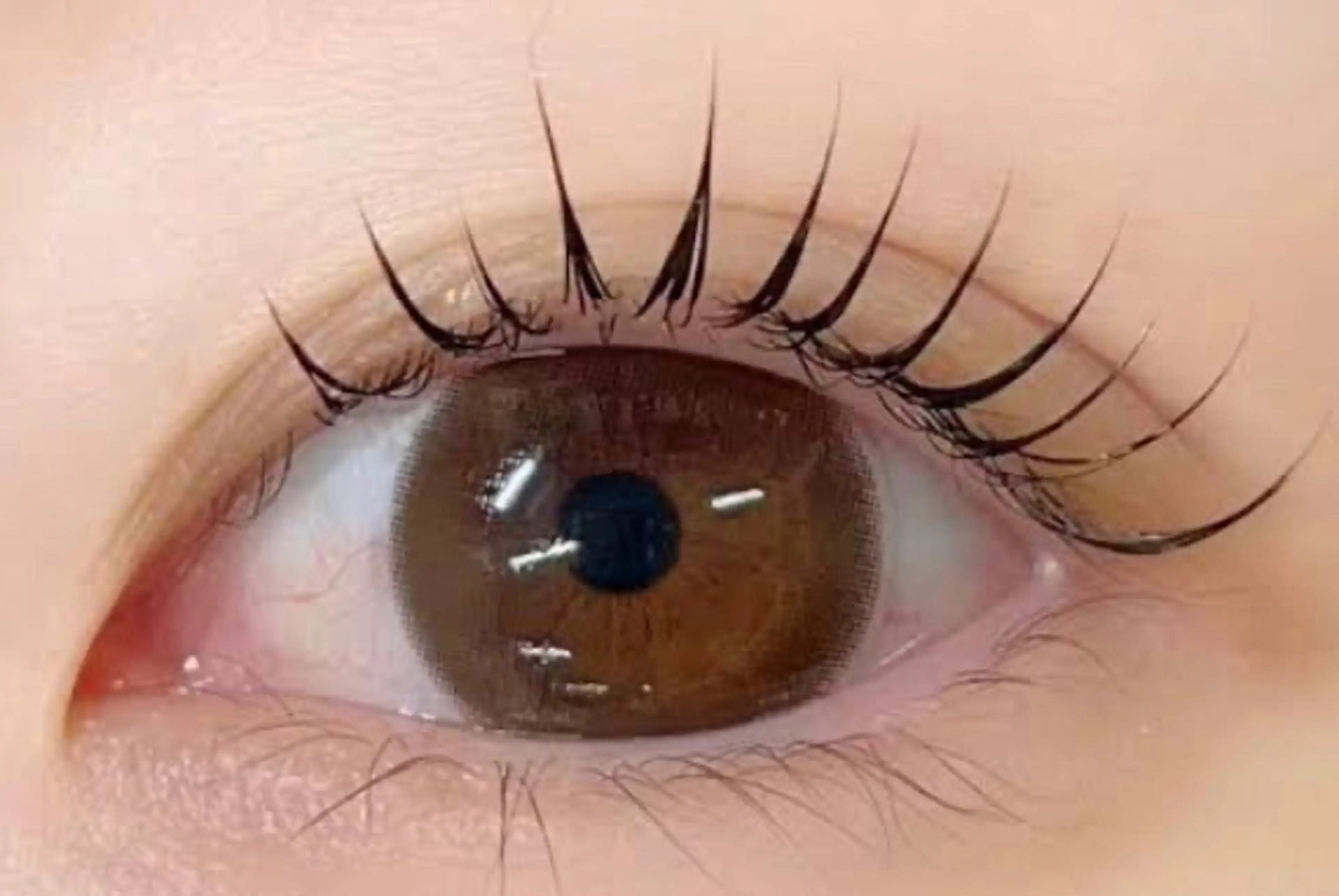 有料3000円マツパモデル募集中！当社マツパ技術テスト合格者が施術します！コラーゲンマツパ(まつげが長く、太く見えます)の写真