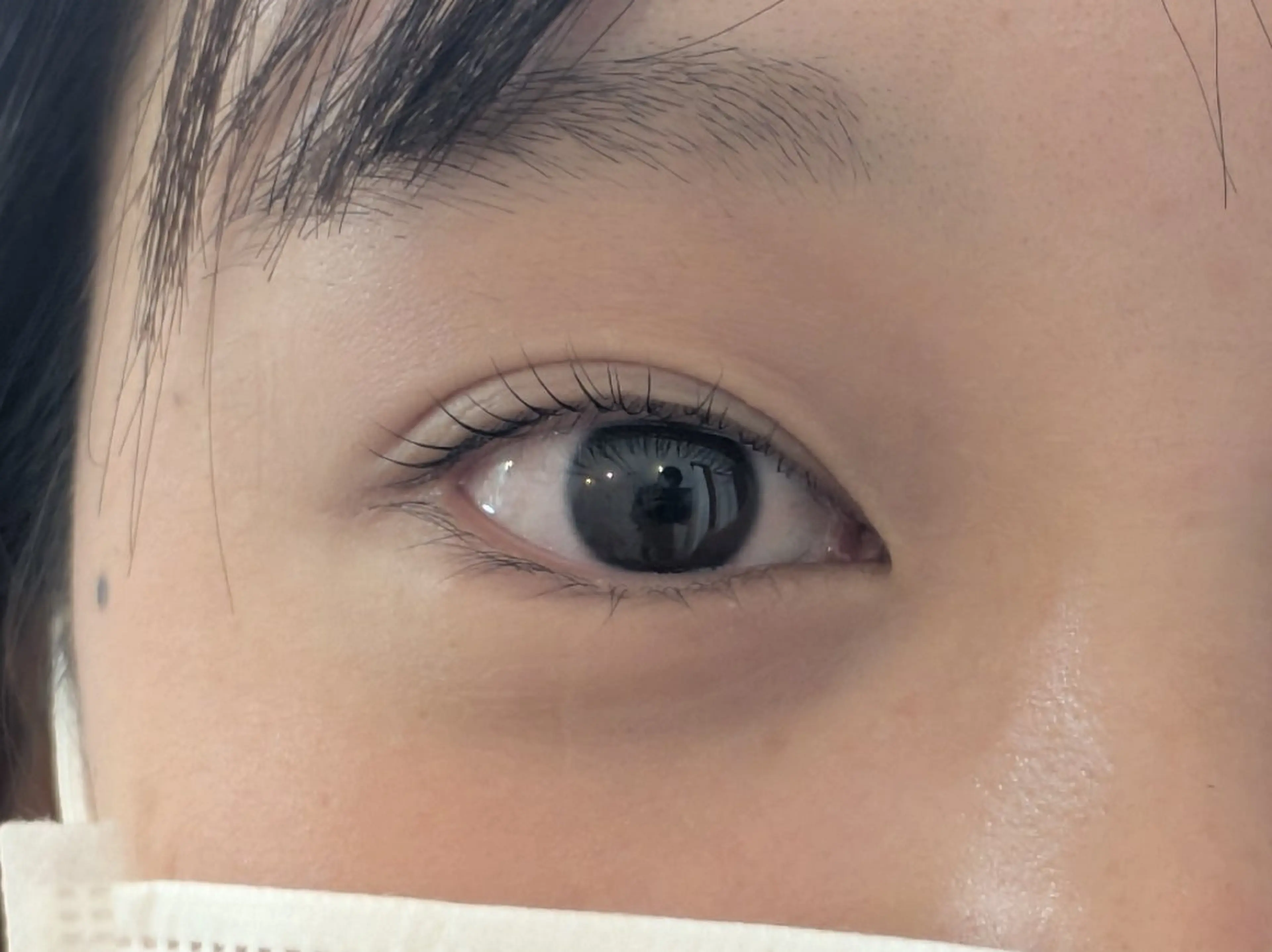 マツエク・マツパ まつげパーマ Sun Brown Ryu-gaのマツエク・マツパデザイン