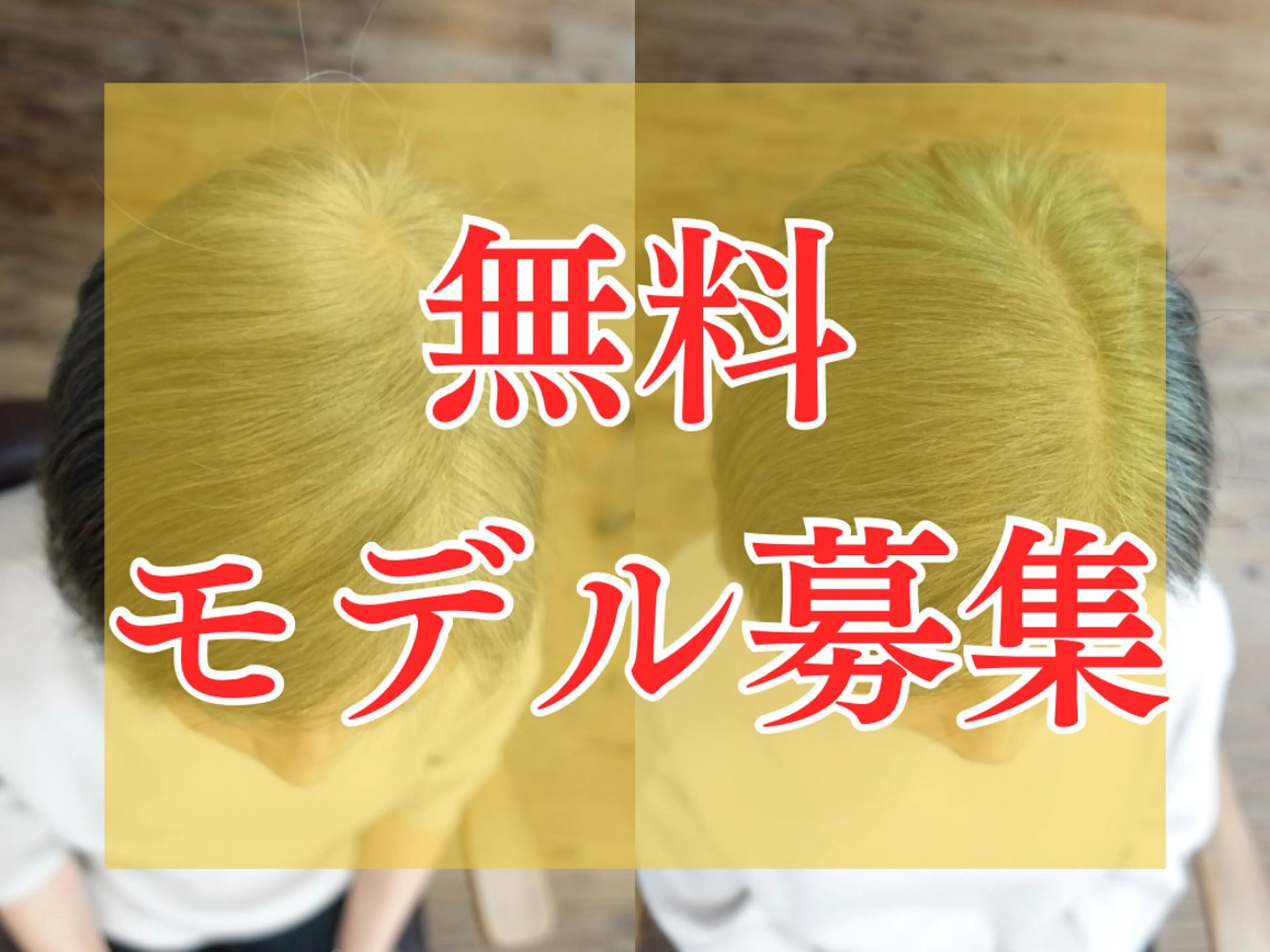 《白髪染め》《ヘアケア》《頭皮ケア》無料モニター(千里山)※人数限定、決まり次第終了※細毛や地肌が弱い人におすすめの写真