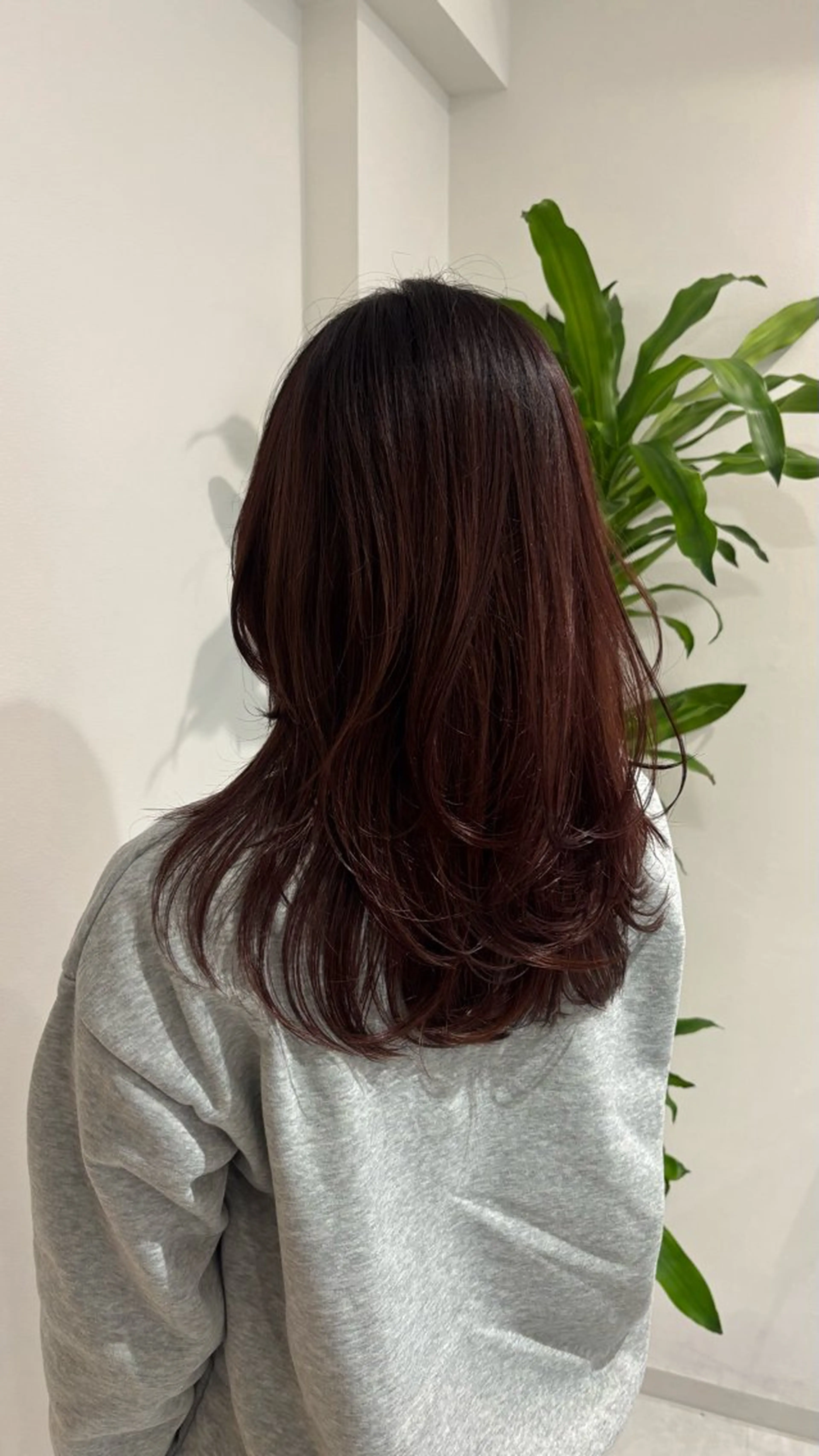 セミロング カラー ベージュカラー ブリーチ ブラウンカラー カシス グレージュ 🎀透明感× 赤み消し🎀正源のヘアスタイル