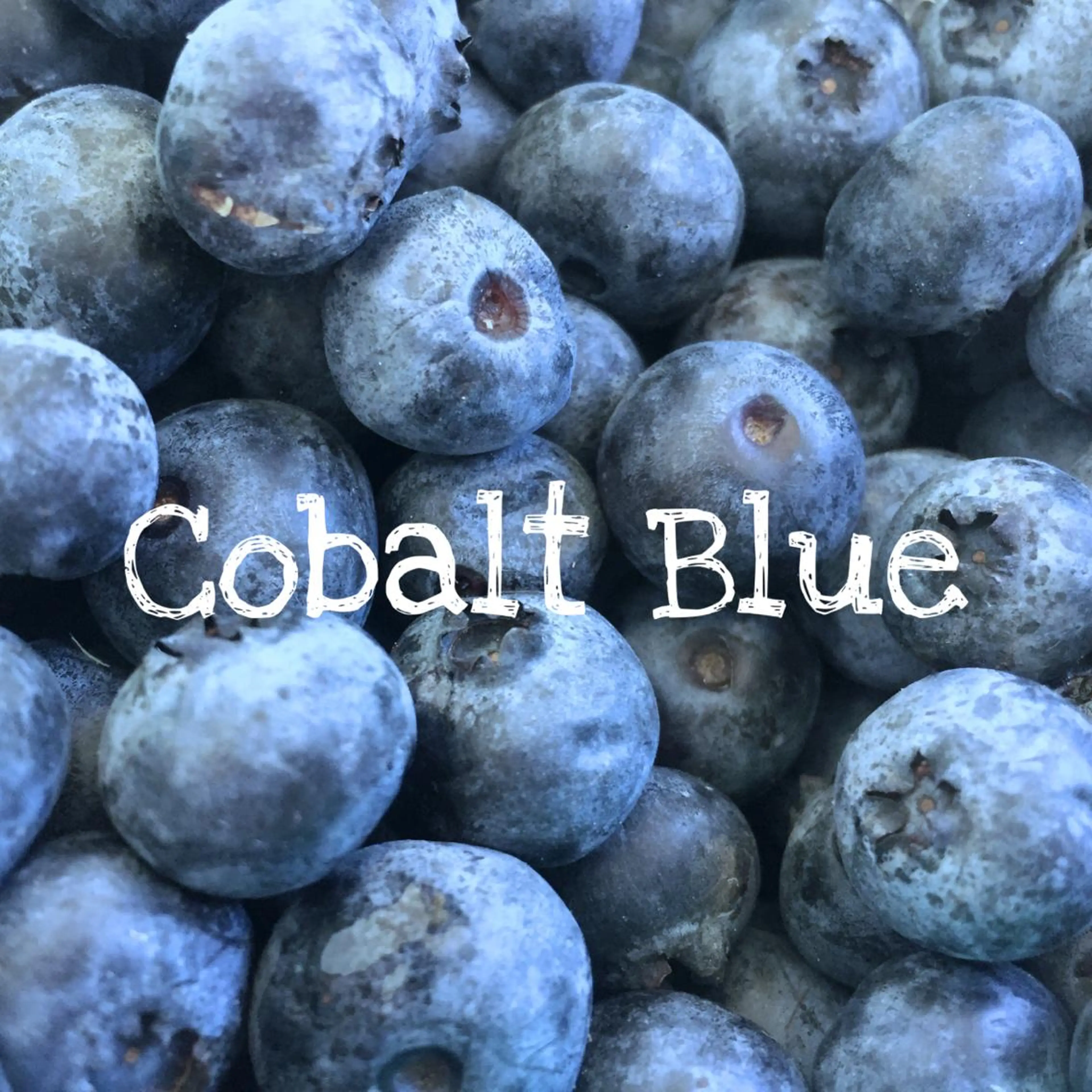 ミディアム 鈴木遥幾 艶髪特化美容師のヘアスタイル