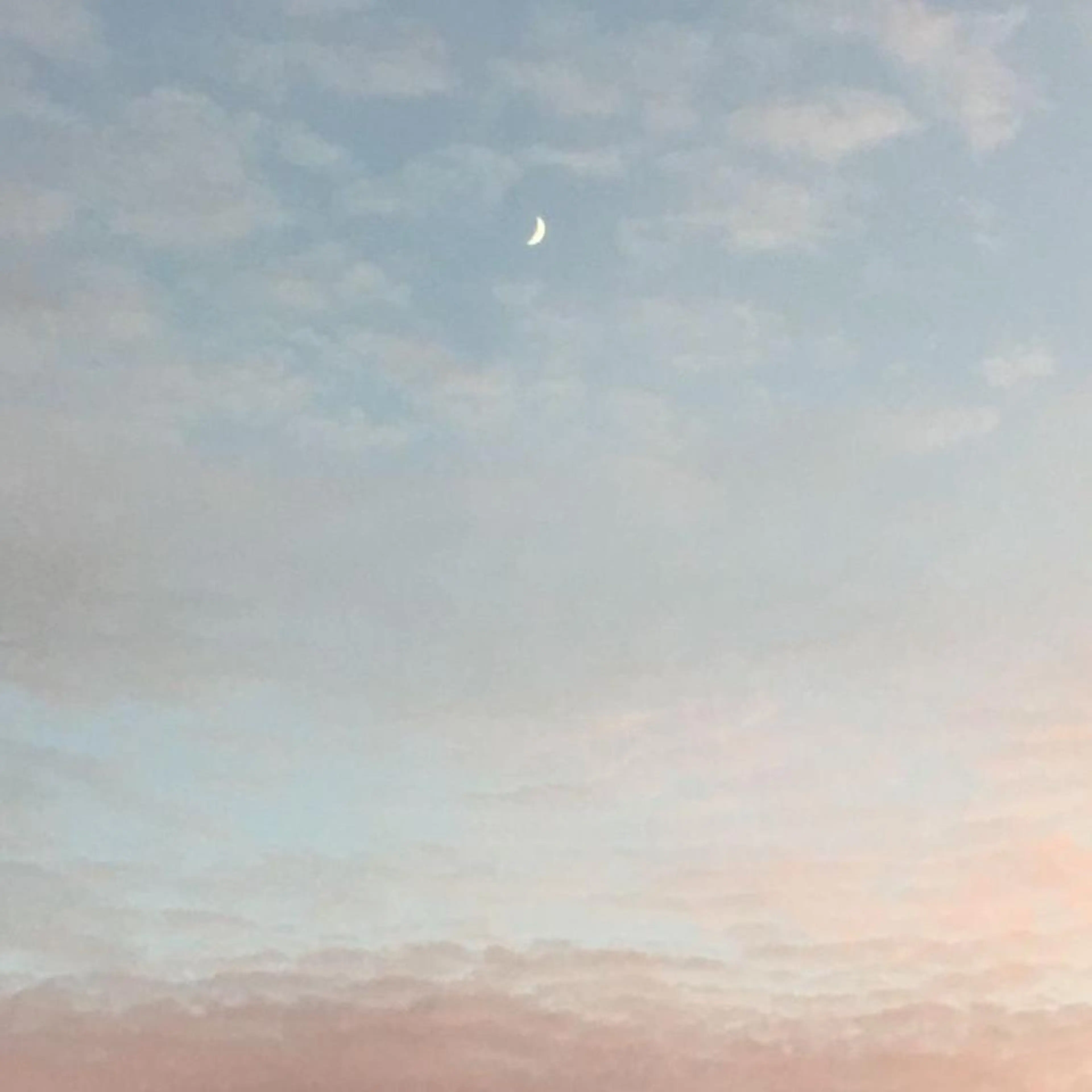 ∴Sanae. ∴ トータルビューティーのマツエク・マツパデザイン