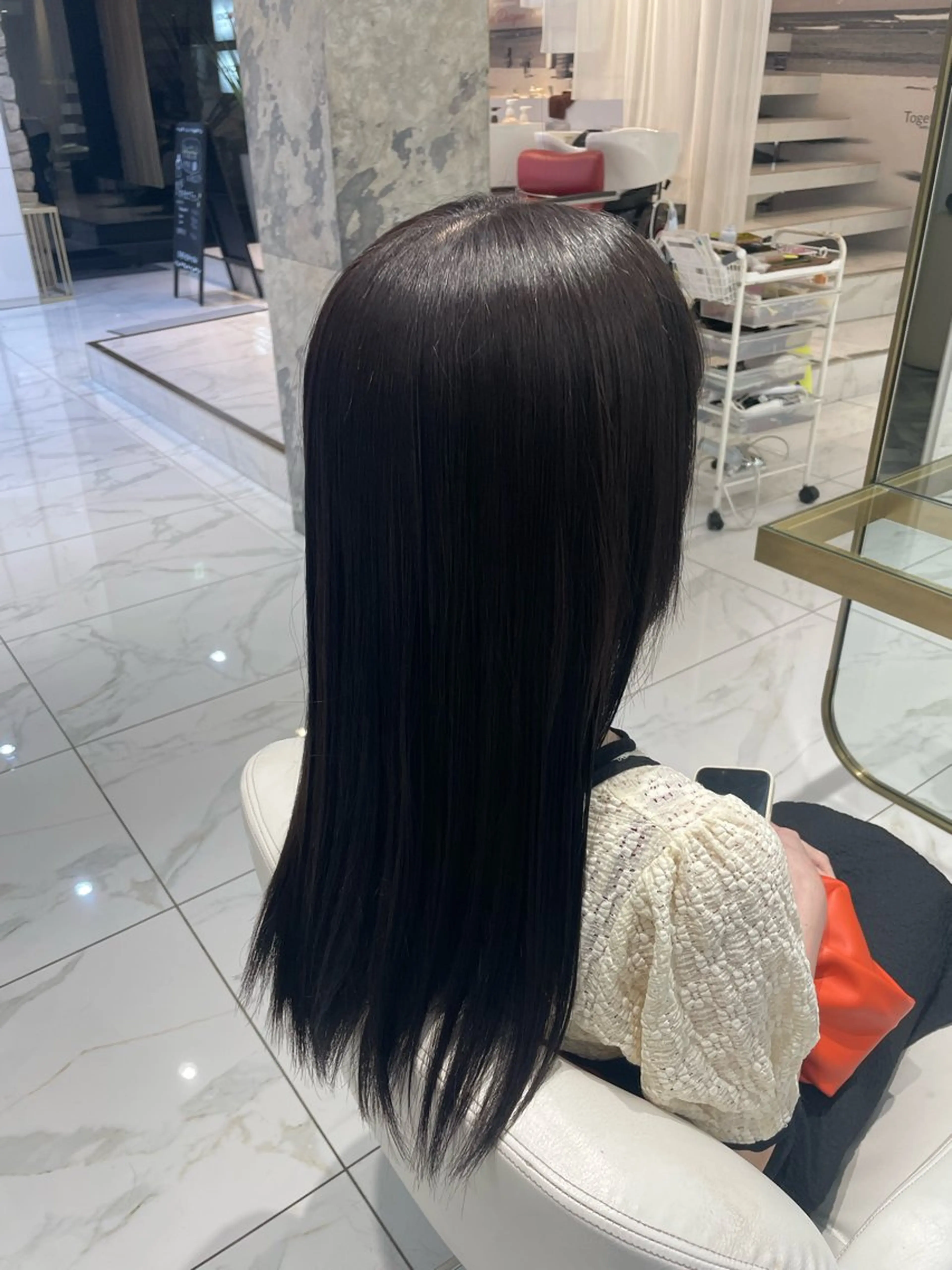 カラー イルミナカラー KINGDOM UEDA IKUMIのヘアスタイル